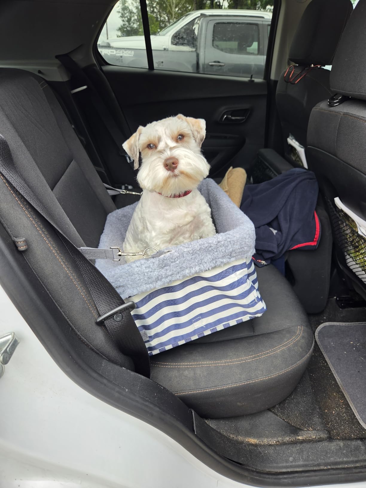 Dog Car Seats for Small Dogs, Upgrade Dog Booster Seat with Metal Frame Construction with Double-Layer Oxford, Perfect for Small Pets up to 20lbs customer photo 1
