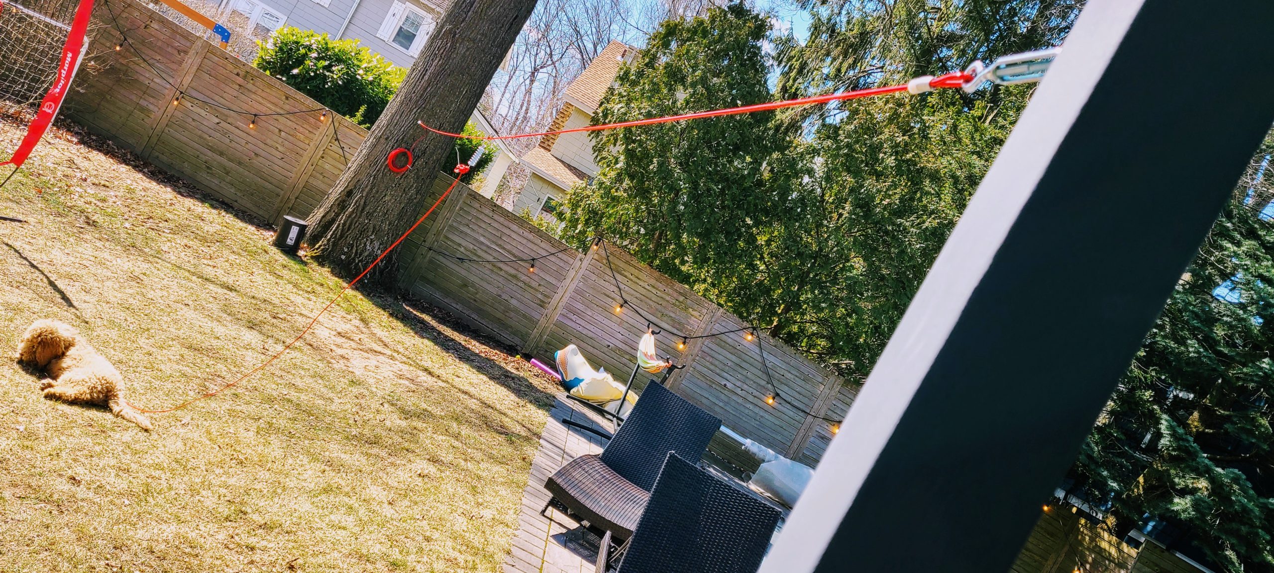 Heavy Duty Aerial Dog Tie Out Trolley System for Small to Large Dogs - Run Cable 100ft /75ft Zipline with 10ft Runner Cable Great for Yard (Red, 100 ft for one Dog up to 200 lbs) customer photo 1