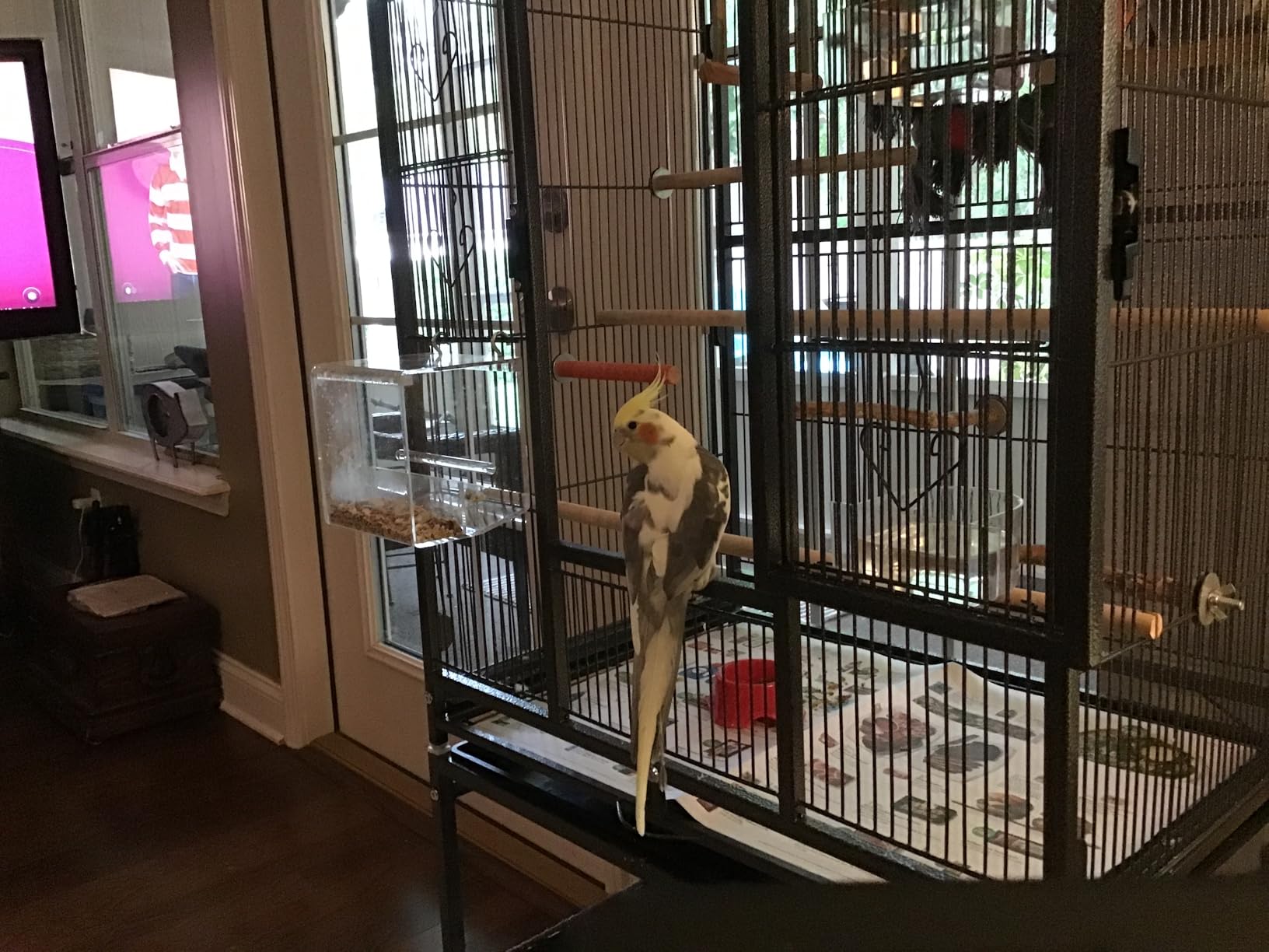 VIVOHOME 54 Inch Wrought Iron Large Bird Flight Cage with Rolling Stand for Parakeets Canaries Cockatiels Lovebirds Conures, Black customer photo 2
