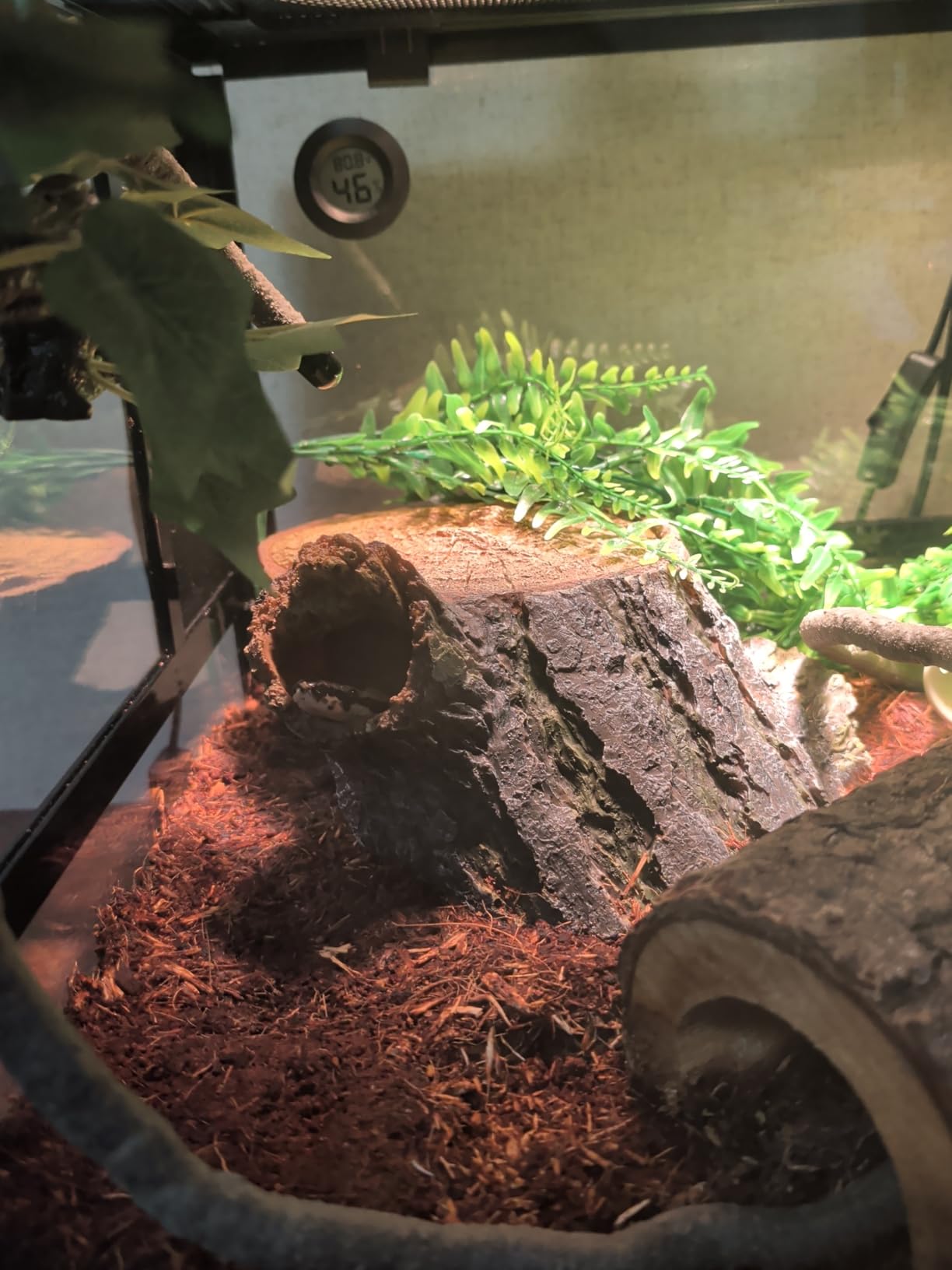 REPTI ZOO Full Glass 20 Gallon Reptile Tank, Front Opening Reptile Terrarium 24