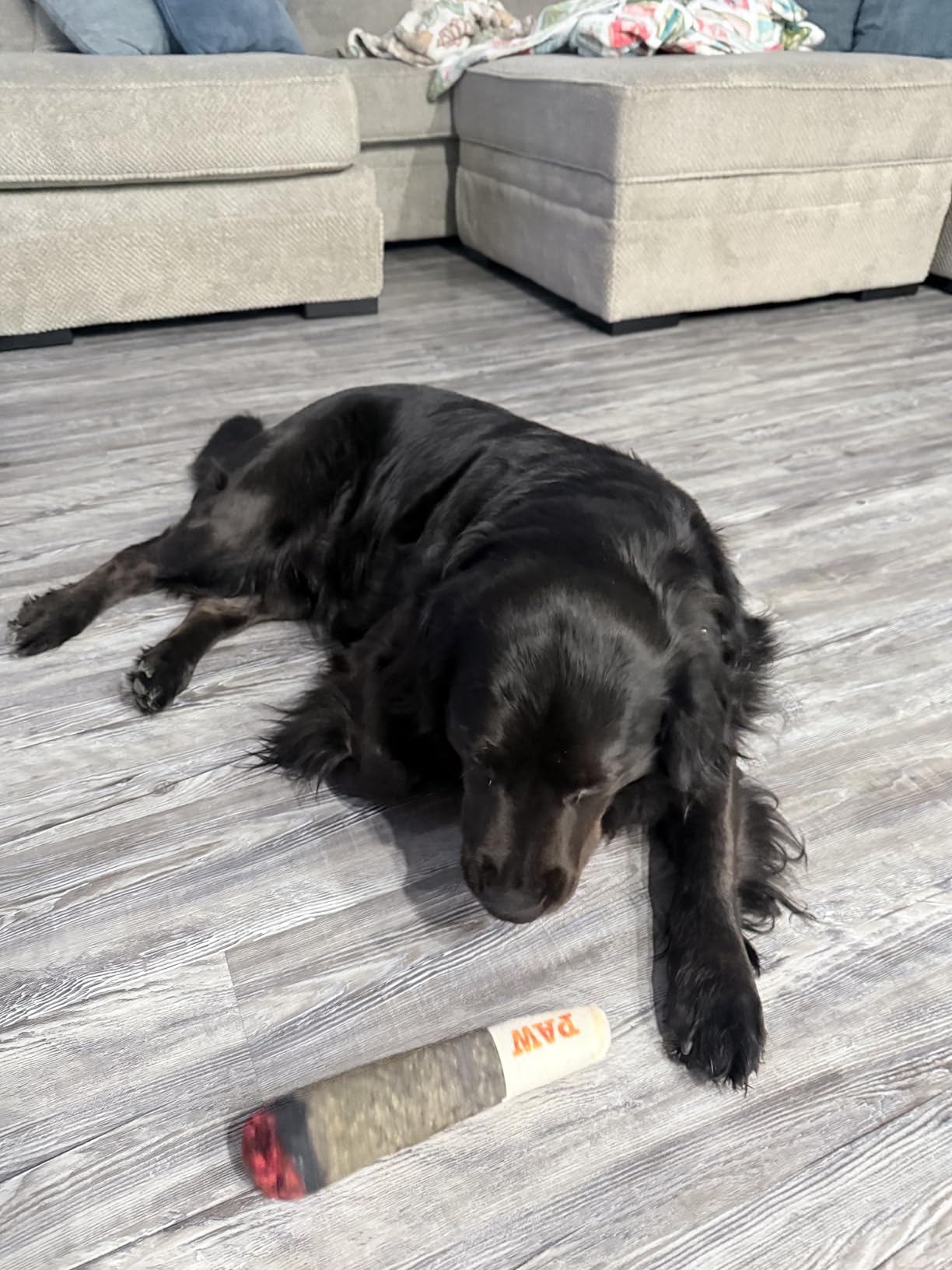 Nestpark Doggy Doobie - Funny Dog Toys - Plush Squeaky Toys for Medium, Small and Large - Cool Stuffed Toy for Dog Birthday customer photo 1