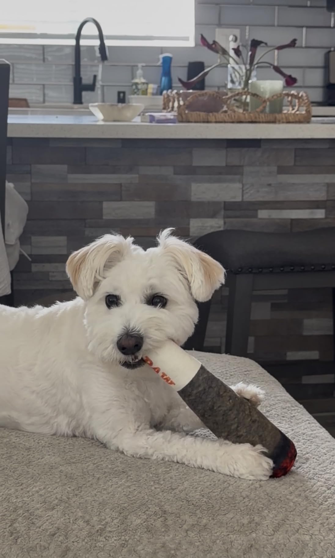 Nestpark Doggy Doobie - Funny Dog Toys - Plush Squeaky Toys for Medium, Small and Large - Cool Stuffed Toy for Dog Birthday customer photo 2