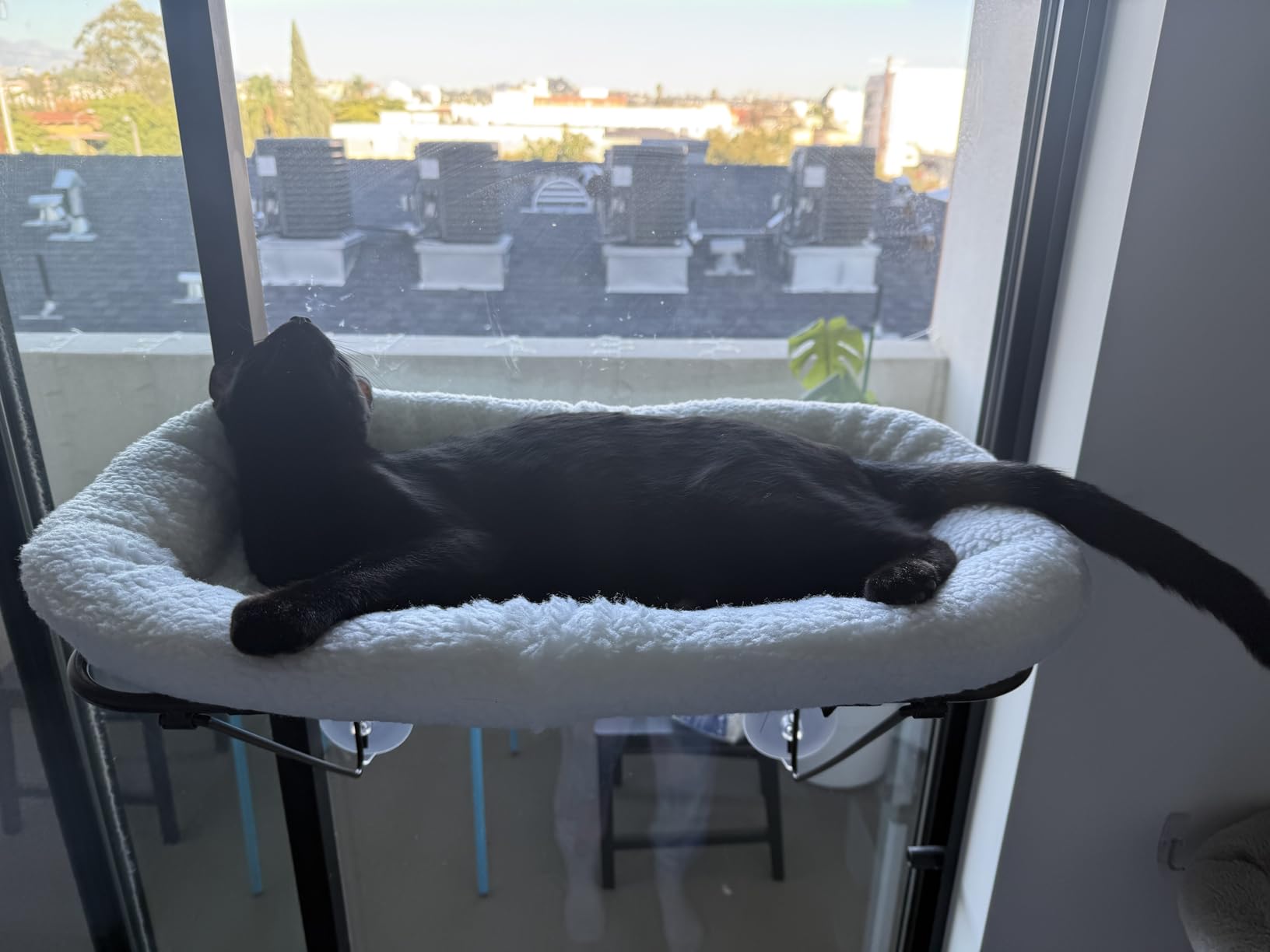 Zakkart Cat Window Perch - 100% Metal Supported from Below - Comes with Warm Spacious Pet Bed - Cat Window Hammock for Large Cats & Kittens - for Sunbathing, Napping & Overlooking (White) customer photo 2