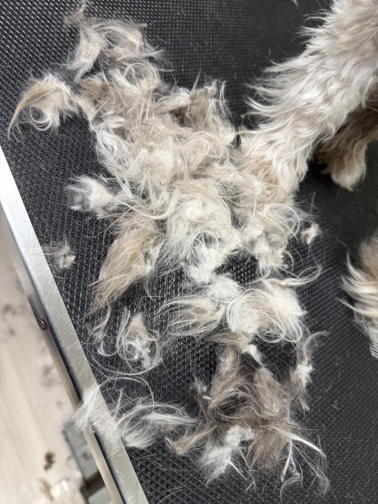 4 Pieces Pet Grooming Kit - Dematting Combs, Slicker Brush, and Steel Comb for Removing Knots and Hair from Dogs, Cats, and Poodles customer photo 1
