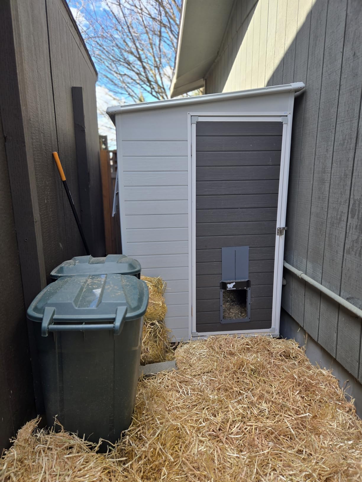 RUN-CHICKEN Door T50 - Automatic Chicken Coop Door Opener, Battery Powered & Weatherproof Aluminum, Smart App & Timer Control, Predator Proof, Easy Install, Reliable All-Season Performance (Gray) customer photo 1