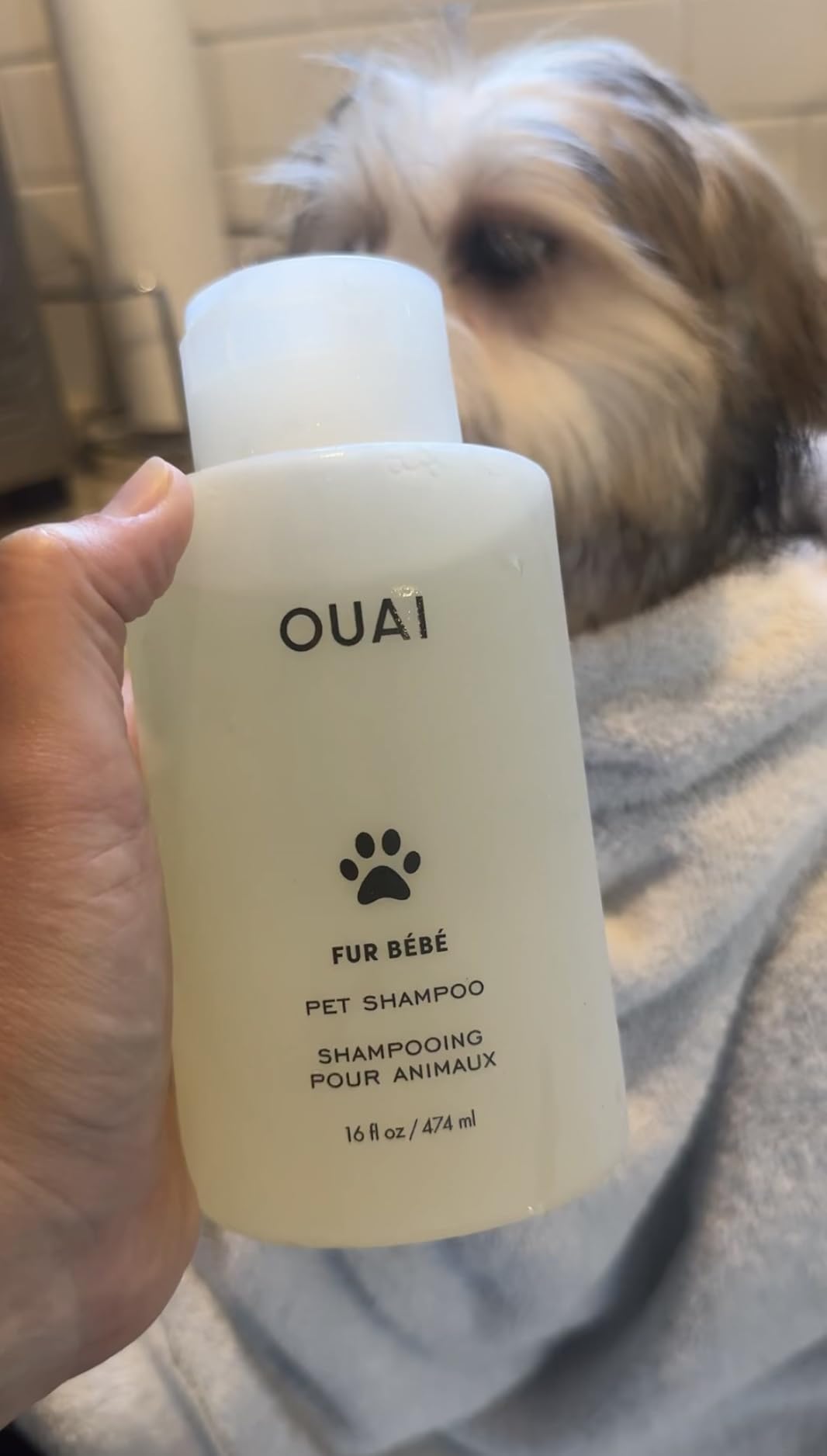 OUAI Fur Bebe Pet Shampoo - Cat & Dog Shampoo for Gentle Cleansing, Hydration & Shine - Vegan & Cruelty-Free Pet Supplies with Aloe Vera & Panthenol - Mercer Street Scent (16 Fl oz) customer photo 2