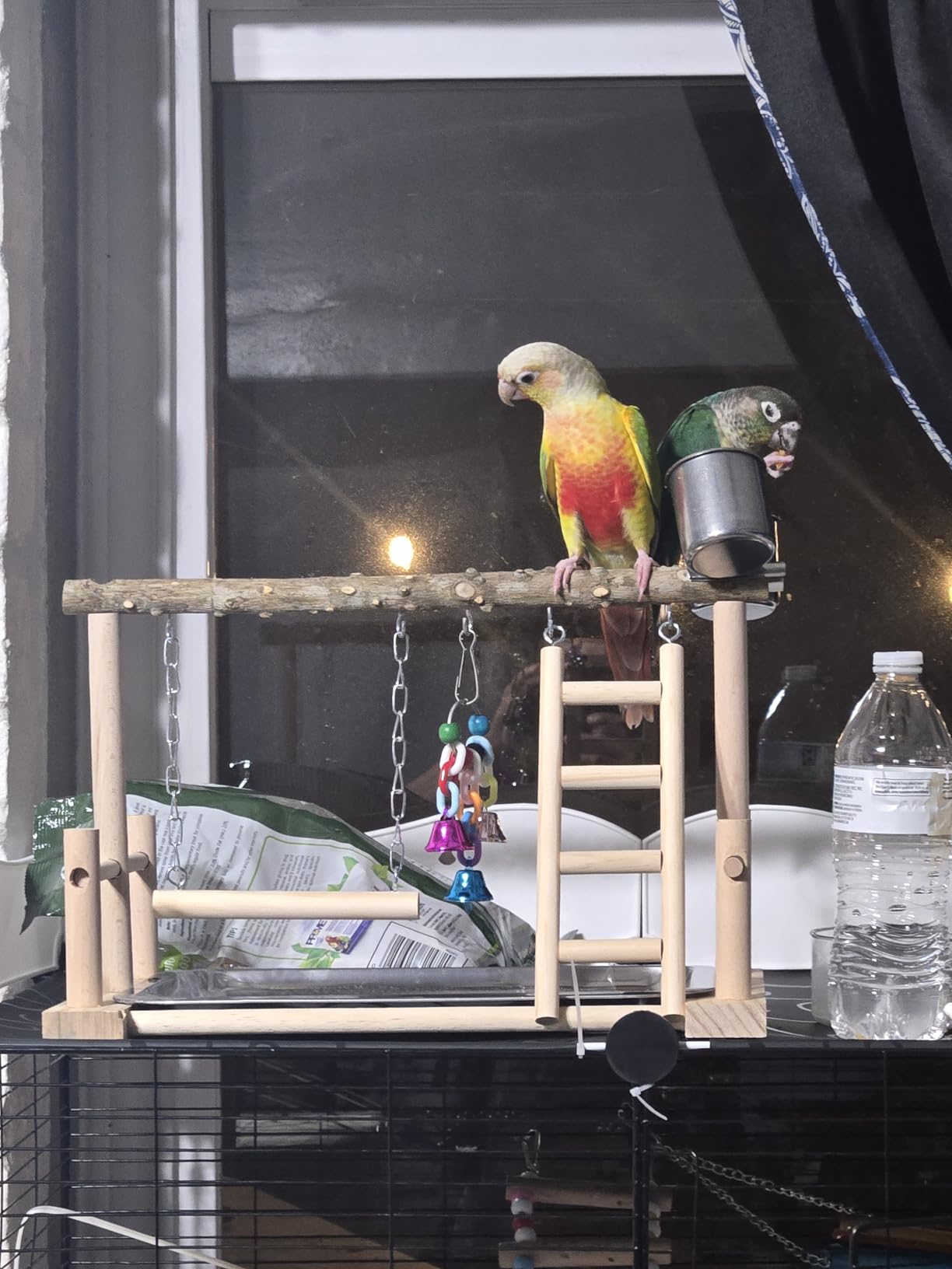 PINVNBY Bird Playground Parrot Playstand Birds Play Stand Wood Exercise Perch Gym Stand Playpen Ladder with Feeder Cups Hanging Swing Toys for Parakeet Conure Cockatiel Budgie Cage Accessories customer photo 1