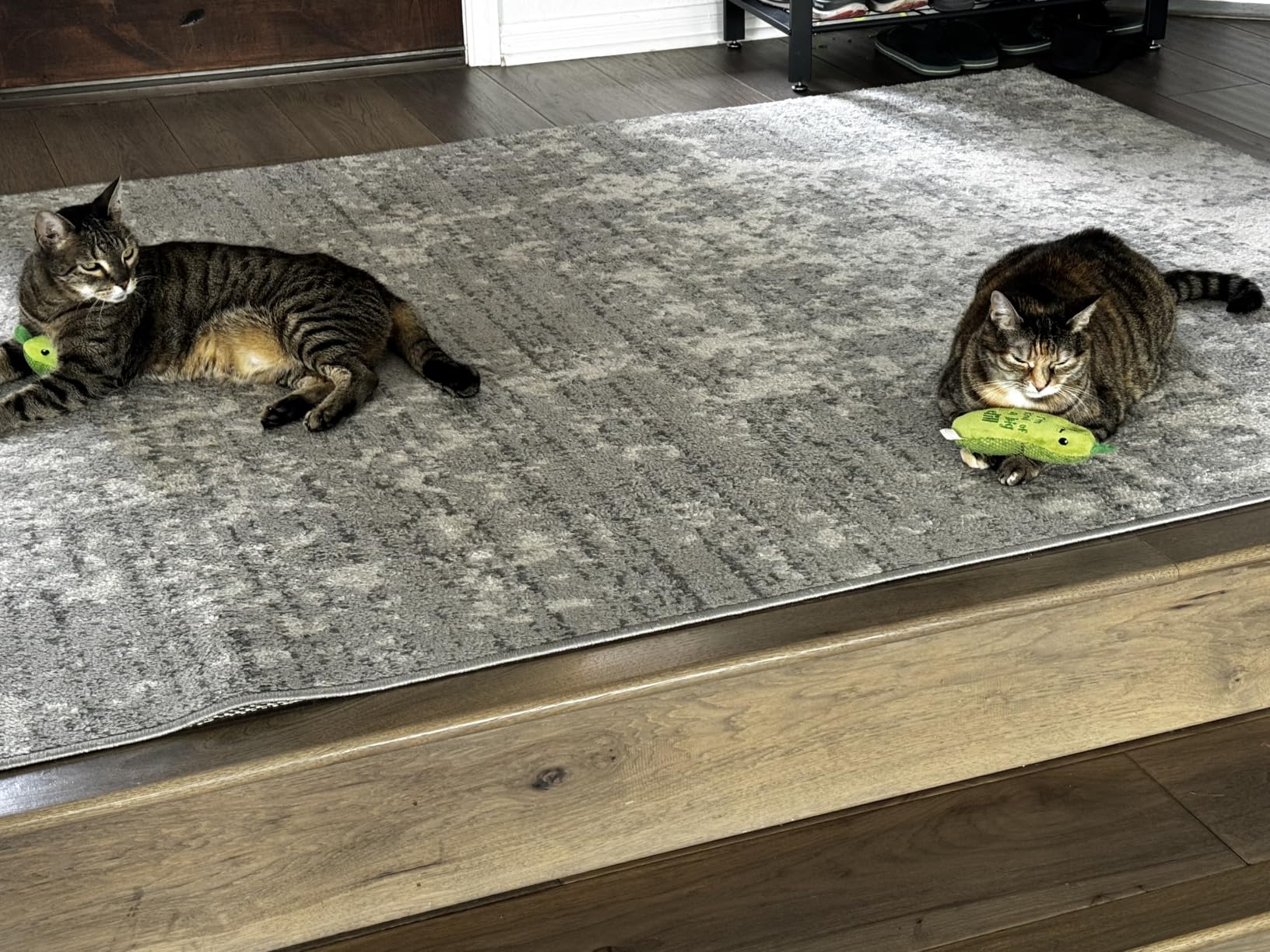 Catstages Crunchy Pickle Kicker Cat Toy, Plush Crinkle Toy with Catnip and Dental Mesh customer photo 1
