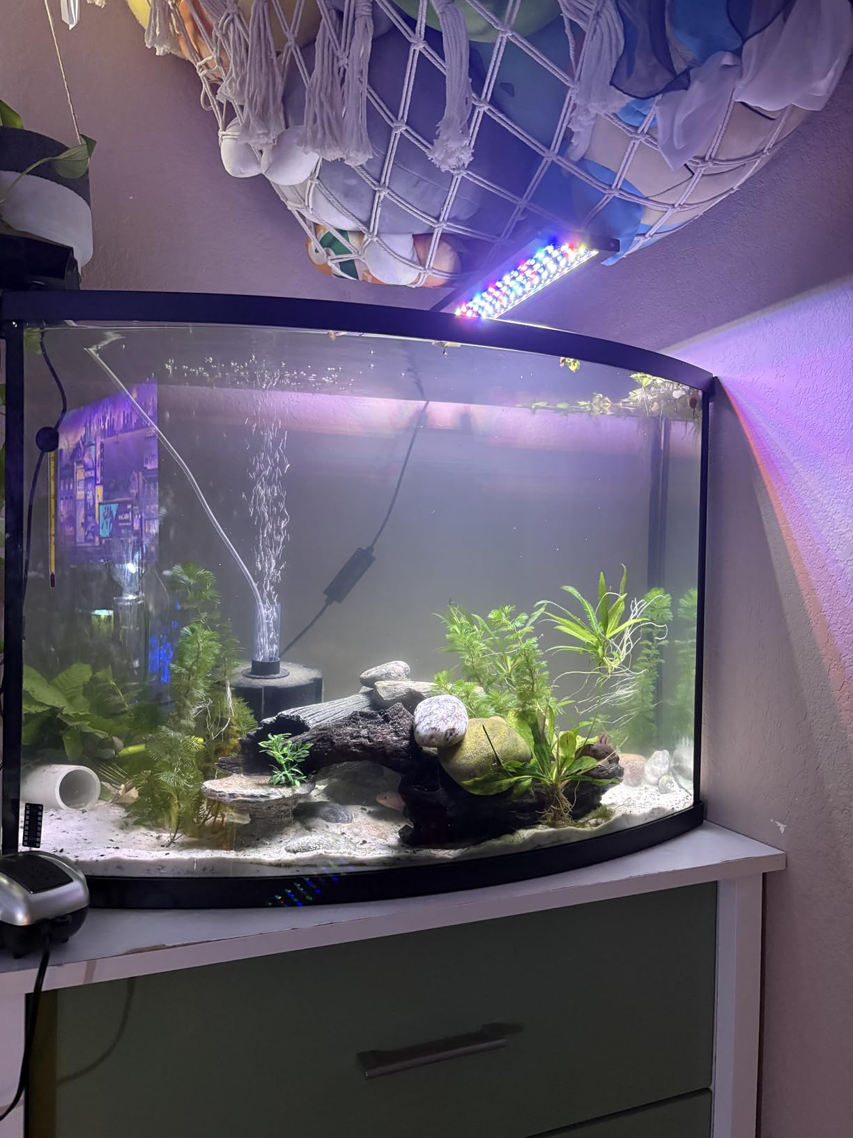hygger Clip On 24/7 Lighting Aquarium LED Light, Sunrise-Daylight-Moonlight and DIY Mode, Adjustable Timer/Brightness Fish Tank Light with 7 Colors for Planted Tank (14W for 12~20in Tank) customer photo 2
