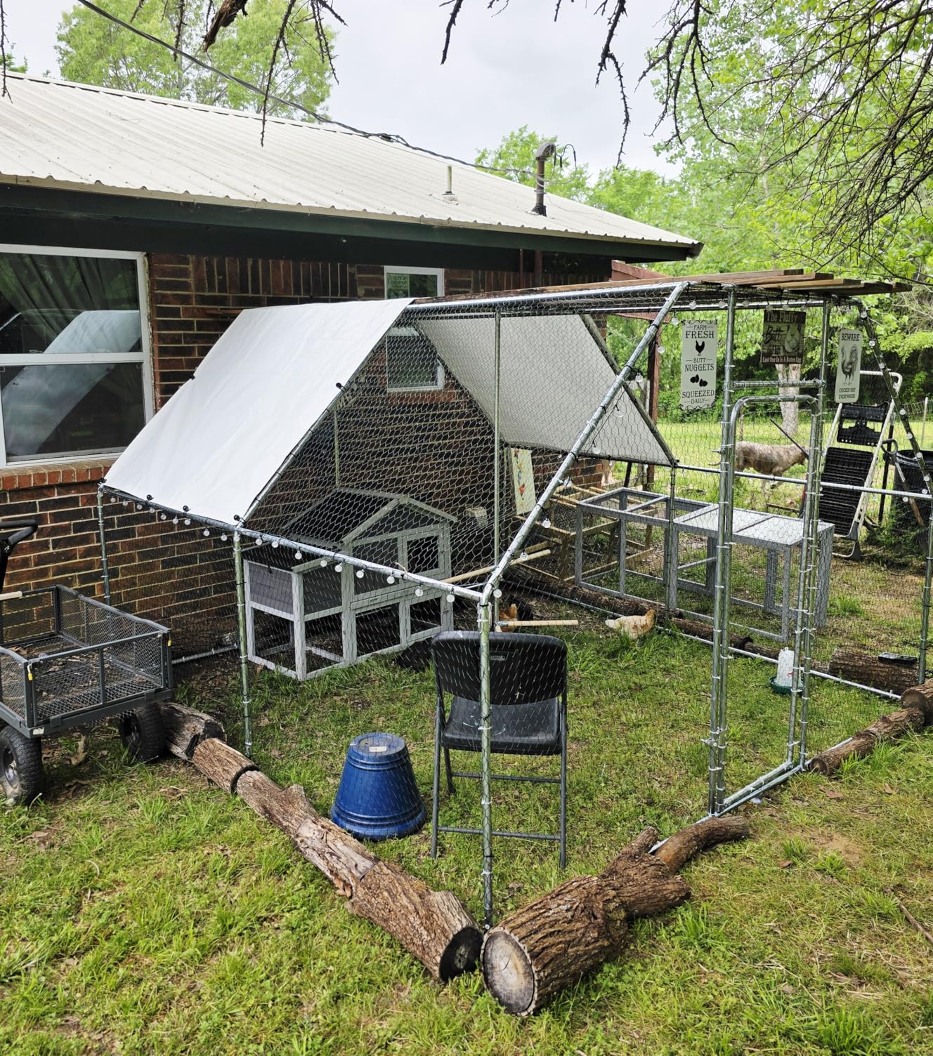 Large Metal Chicken Coop 9.8 x 9.8 x 6.6 ft Walk in Chicken Runs for Yard with Cover & Perch, Chicken House for Duck Rabbit, Chicken Pen for Outdoor Backyard customer photo 2