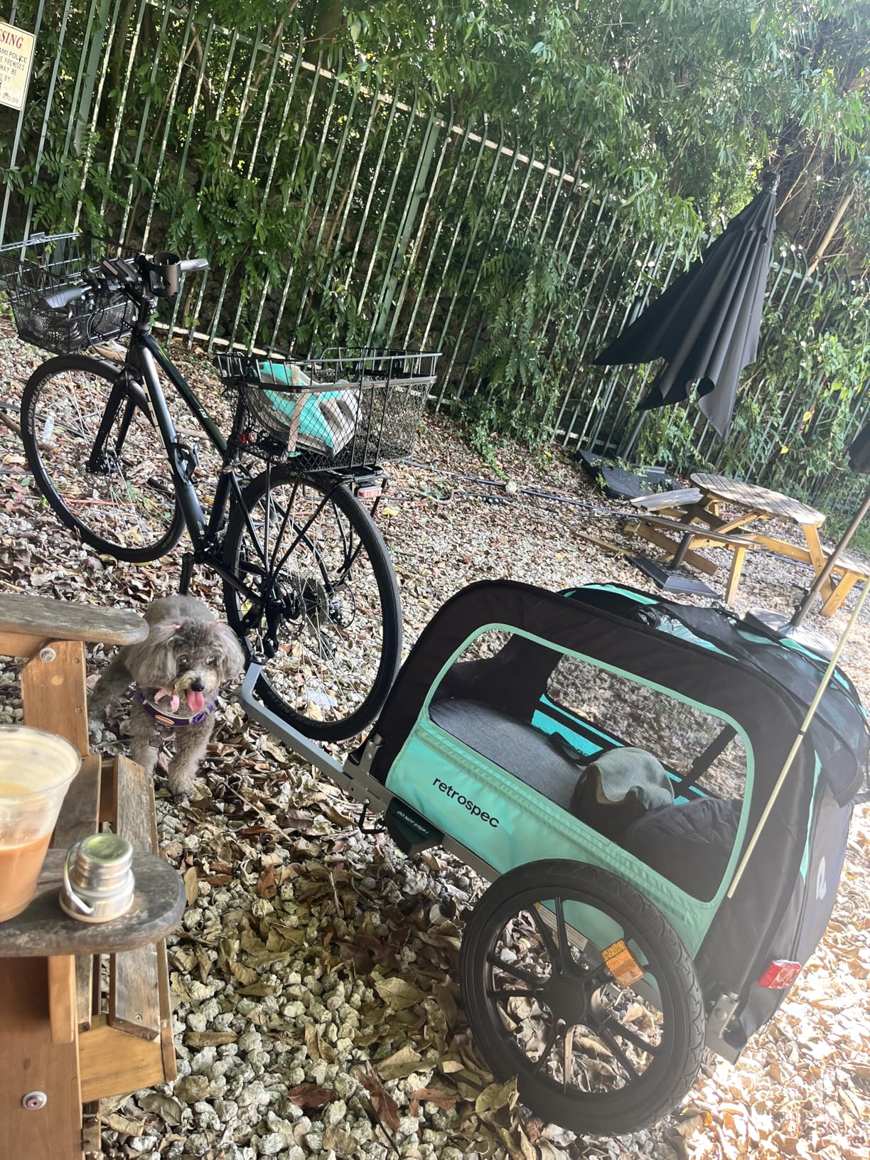 Retrospec Rover Waggin' Pet and Dog Bike Trailer with Weather-Resistant Canopy & Mesh Shield - Foldable Frame, 16in Wheels with Storage Pouch & Internal Safety Leash Supports up to 50 lbs customer photo 1