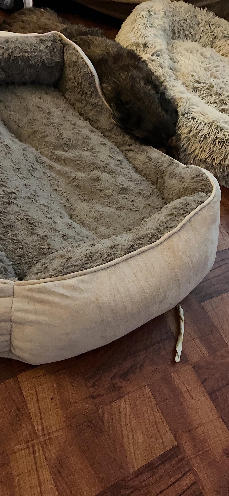 JOEJOY Rectangle Dog Bed for Large Medium Small Dogs - Washable Orthopedic Sofa Bed, Soft Breathable Puppy & Pet Cuddler, Durable Calming Dog Bed with Anti-Slip Bottom, Multiple Sizes, Beige customer photo 2