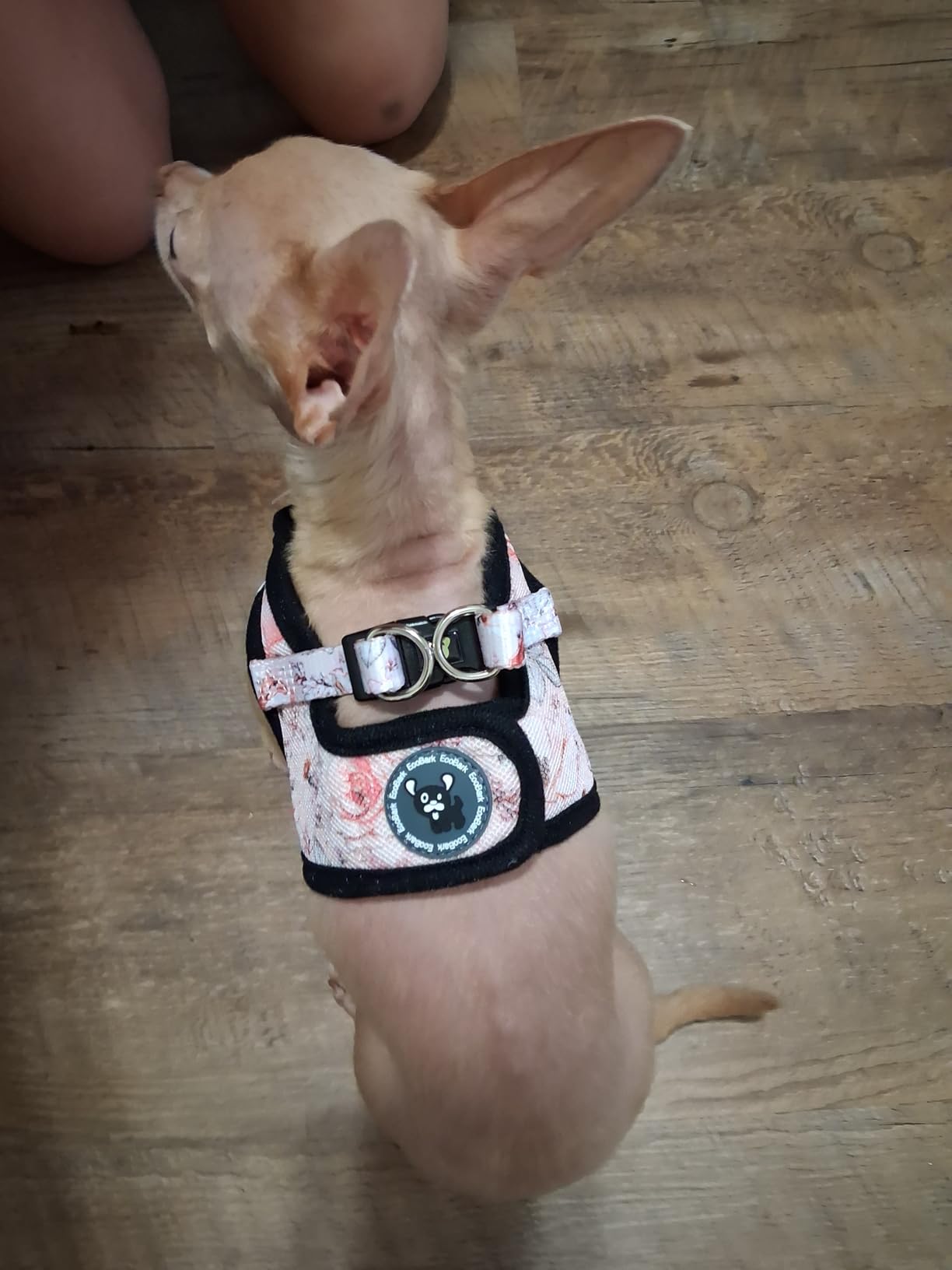 EcoBark XXS Dog Harness - Luxury Soft Step in Teacup Dog Harnesses for Puppy & Toy Breed Dogs - Tiny Step in Mesh Halter - Mini Chest Body Vest (XX-Small, Baby Pink) customer photo 1