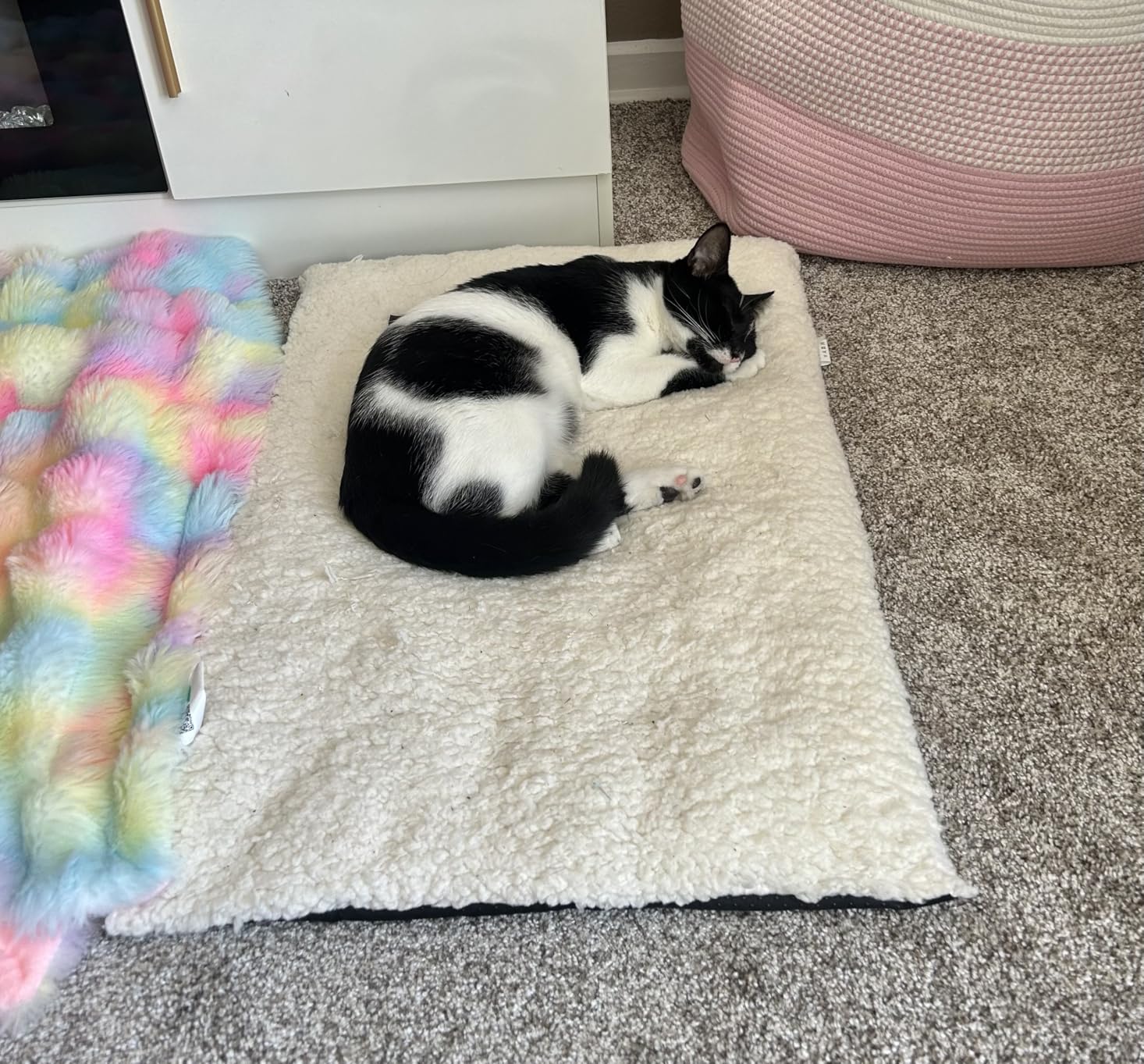 Self Warming Cat Bed Self Heating Cat Dog Mat 24 x 18 inch Extra Warm Thermal Pet Pad for Indoor Outdoor Pets with Removable Cover Non-Slip Bottom Washable Non Electric customer photo 1