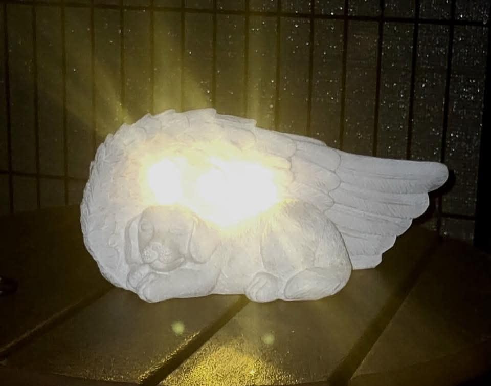 iHeartDogs Dog Memorial Gifts - Forever My Guardian Angel Garden Solar Light - Pet Memorial Stone customer photo 1