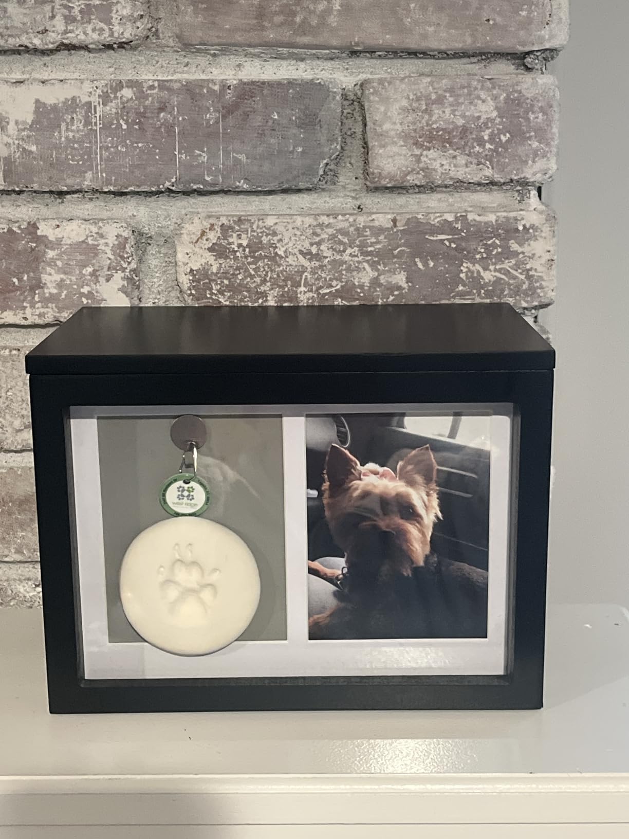 Chasing Tails Pet Urns for Dogs - Dog Urns for Ashes, Suitable for All Pets - Includes Paw Print Kit, Picture Frame and Photo Book for a Lasting Tribute and Keepsake Memory customer photo 2