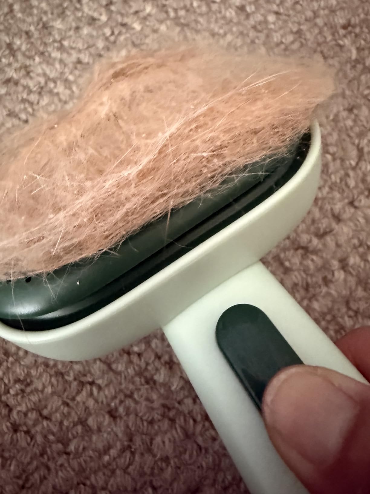 Aumuca Cat Brush for Shedding, Cat Brushes for Indoor Cats, Cat Brush for Long or Short Haired Cats, Cat Grooming Brush Cat Comb for Kitten Rabbit Massage Removes Loose Fur customer photo 1