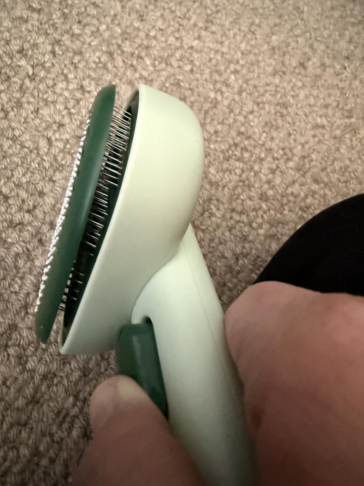 Aumuca Cat Brush for Shedding, Cat Brushes for Indoor Cats, Cat Brush for Long or Short Haired Cats, Cat Grooming Brush Cat Comb for Kitten Rabbit Massage Removes Loose Fur customer photo 2