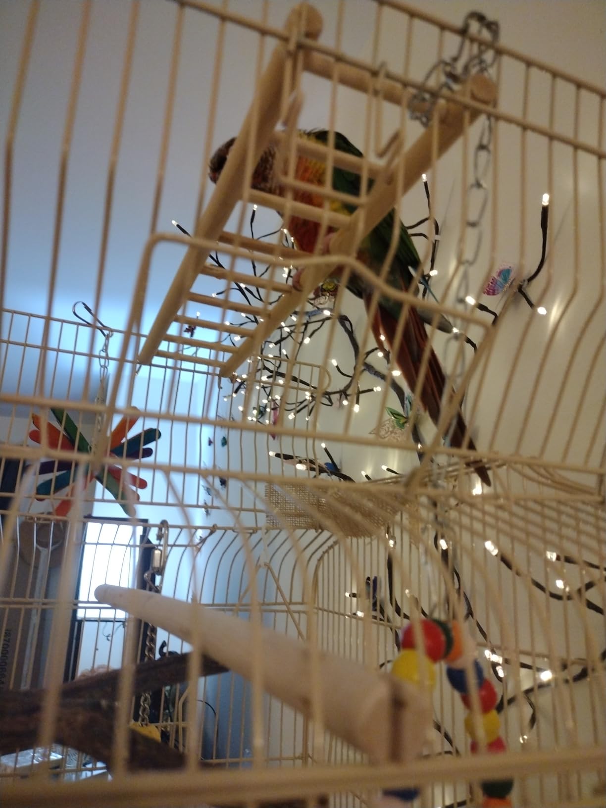 BestPet 64 inch Wrought Iron Bird Cage for Parakeets Medium Small Parrots Parakeet Cage with Detachable Rolling Stand & Play Open Top for Cockatiels Lovebird Finches Canaries (Black) customer photo 2