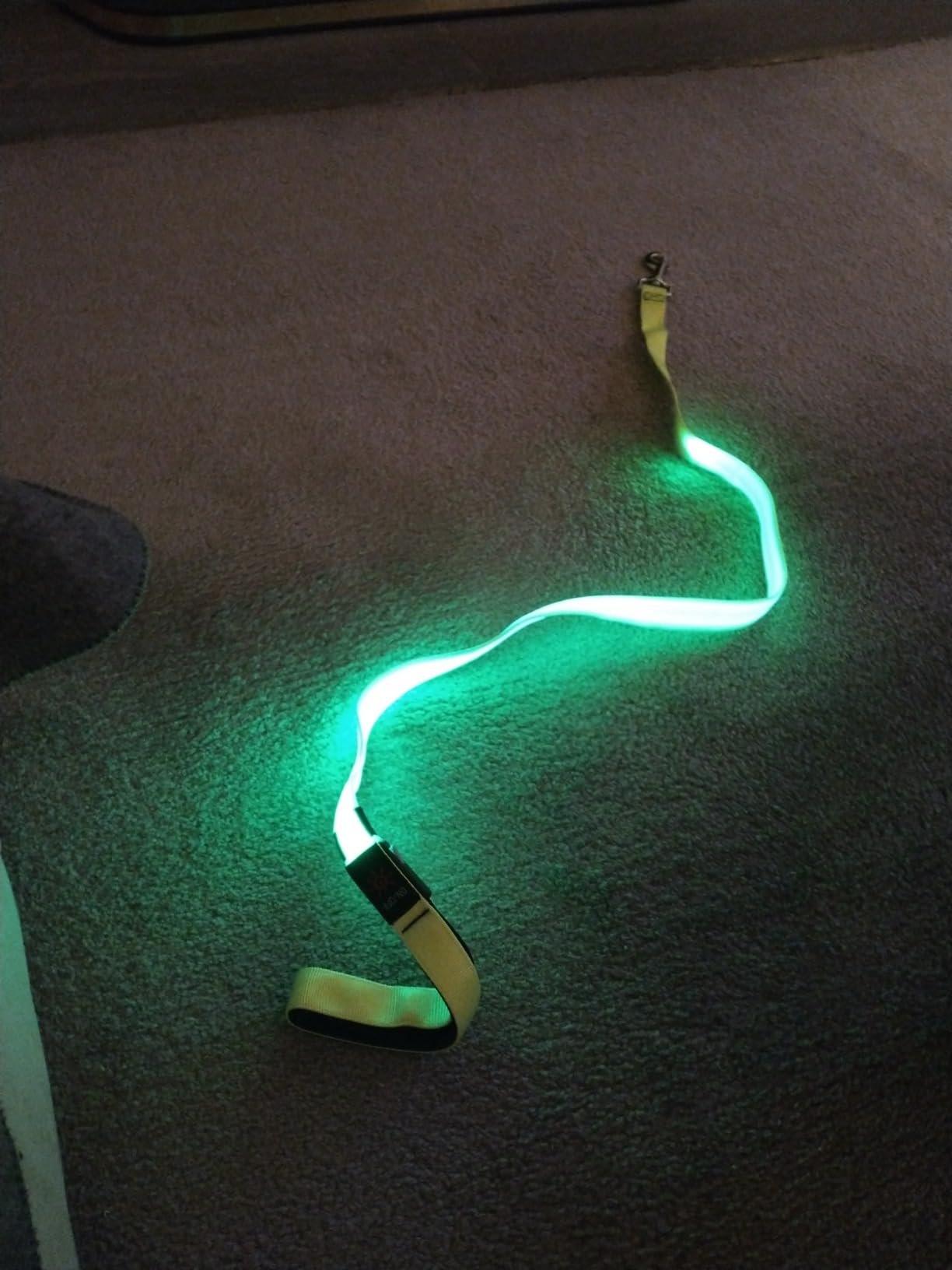 Colaseeme Light Up Dog Leash, LED Pet Leashes USB Rechargeable, Glow Safety Dogs Lights at Night (4FT,Green) customer photo 1