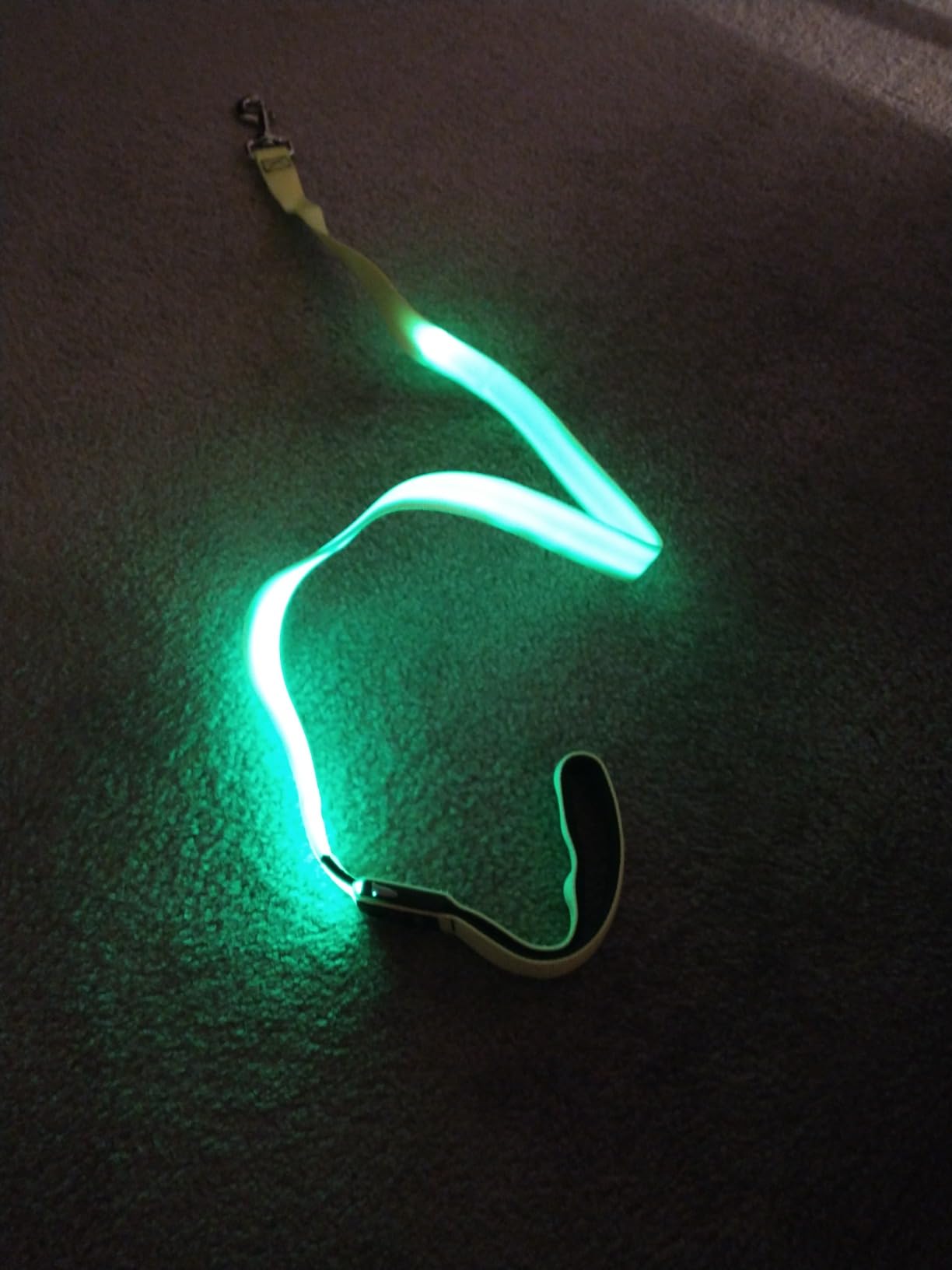 Colaseeme Light Up Dog Leash, LED Pet Leashes USB Rechargeable, Glow Safety Dogs Lights at Night (4FT,Green) customer photo 2