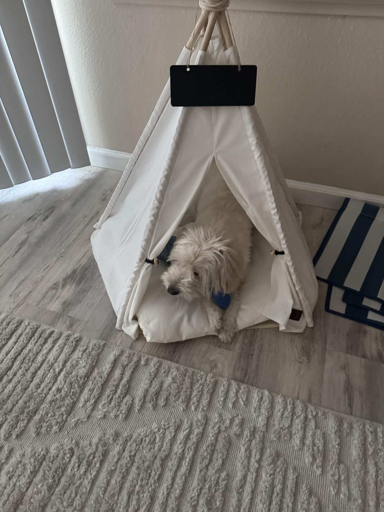 Pet Teepee Dog & Puppy Cat Tents Tipi Bed Portable Houses with Thick Cushion for Pets Up to 15lbs customer photo 2