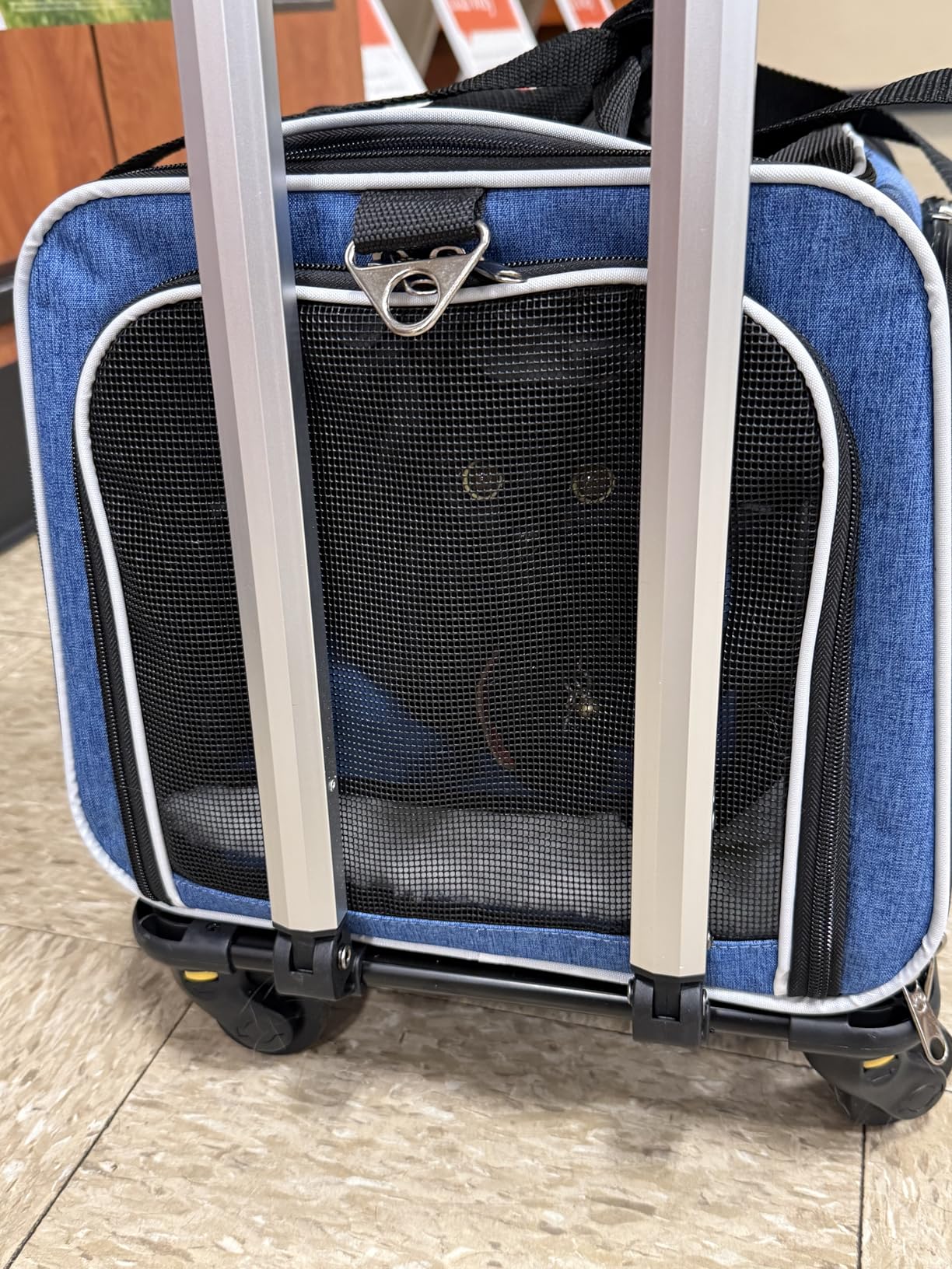 Ruff Life 101 Airline Approved Expandable Premium Pet Carrier on Wheels- Two Sided Expandable Rolling Carrier- Designed for Dogs & Cats- Extra Spacious Soft Lined Carrier! (Grey) customer photo 1