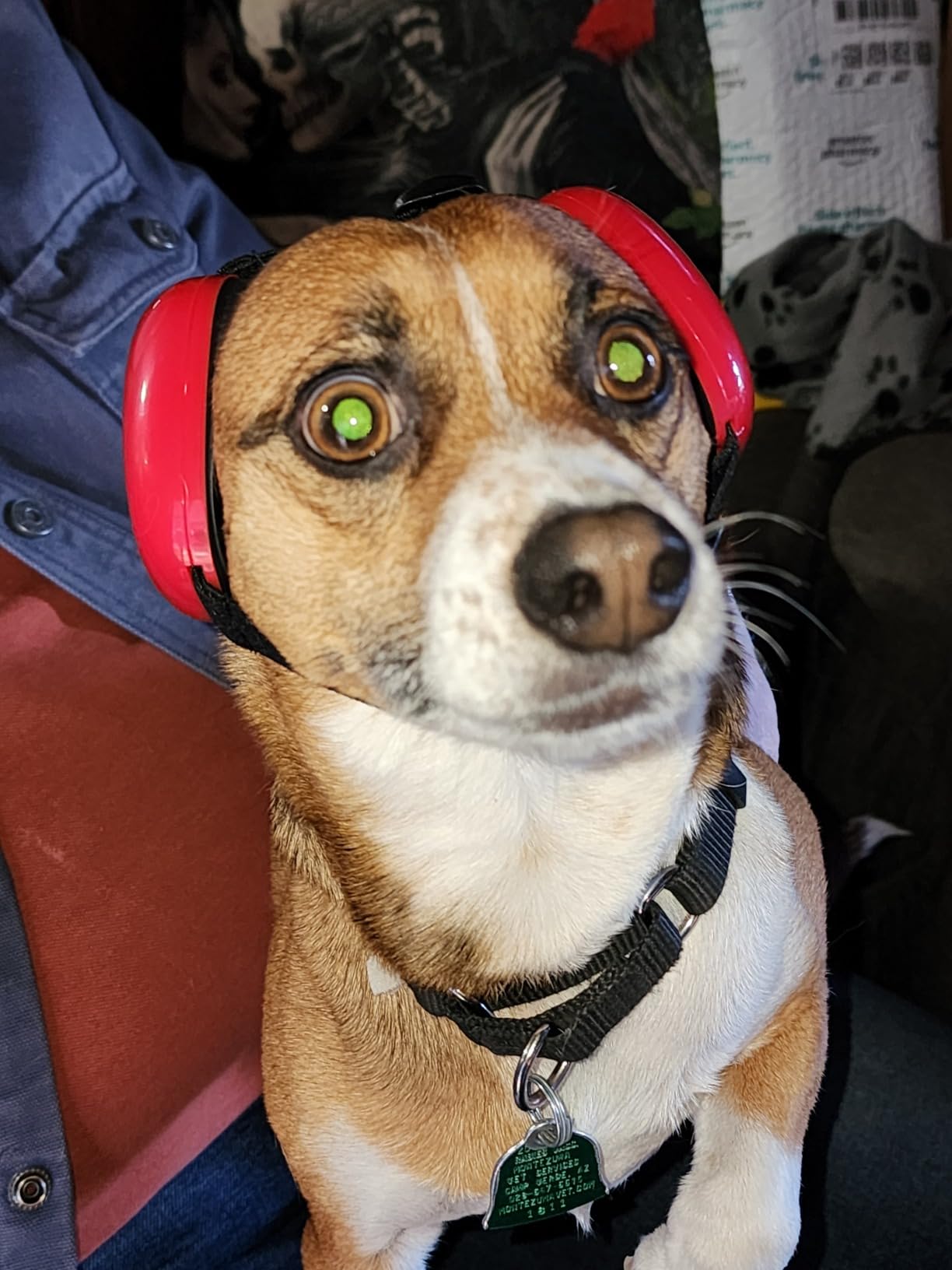 derYEP Dog Earmuffs for Hearing Protection 29dB NRR Ear Muffs Noise Protection (Small, Pink) customer photo 2