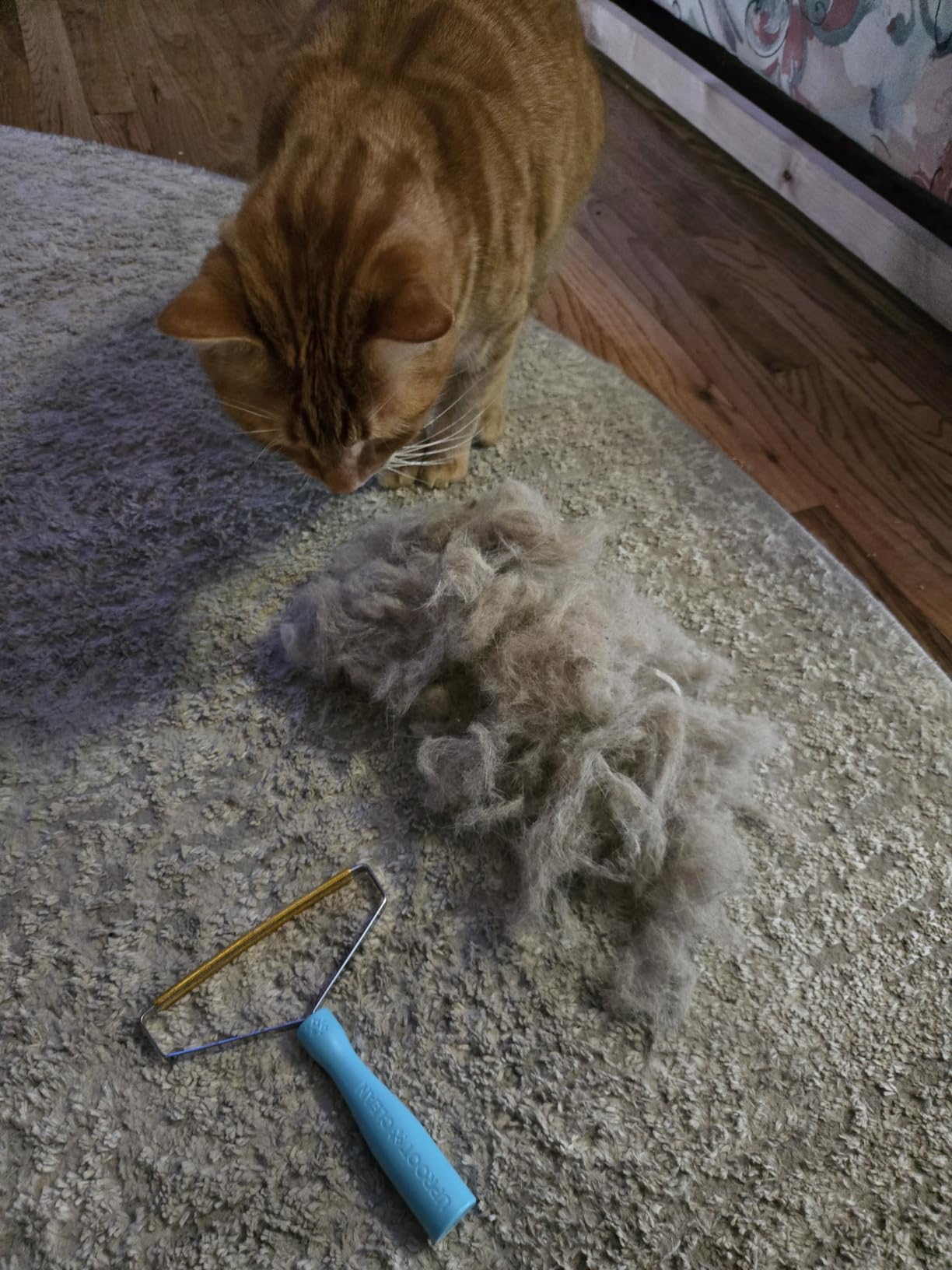 Uproot Cleaner Pro Pet Hair Removal Tool - Special Dog Hair Remover Multi Fabric Edge and Carpet Rake by Uproot Clean - Cat Fur Remover for Couch, Pet Towers, Rugs, Cat Mats and Trunks & Much More customer photo 1