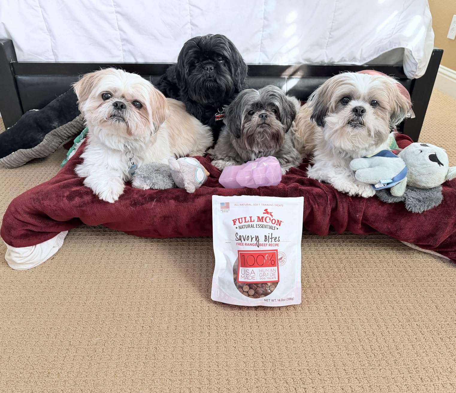 Full Moon All Natural Human Grade Dog Treats, Essential Beef Savory Bites, 14 Ounce customer photo 2