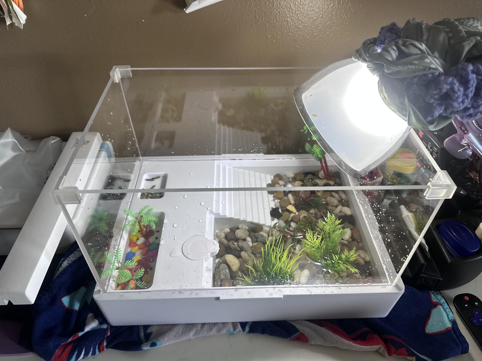 Acrylic Turtle Tank Aquarium with Quiet Water Pump, 3.96gallons, 360° View, Easy to Assemble, Durable for Small Turtles & Reptiles customer photo 1
