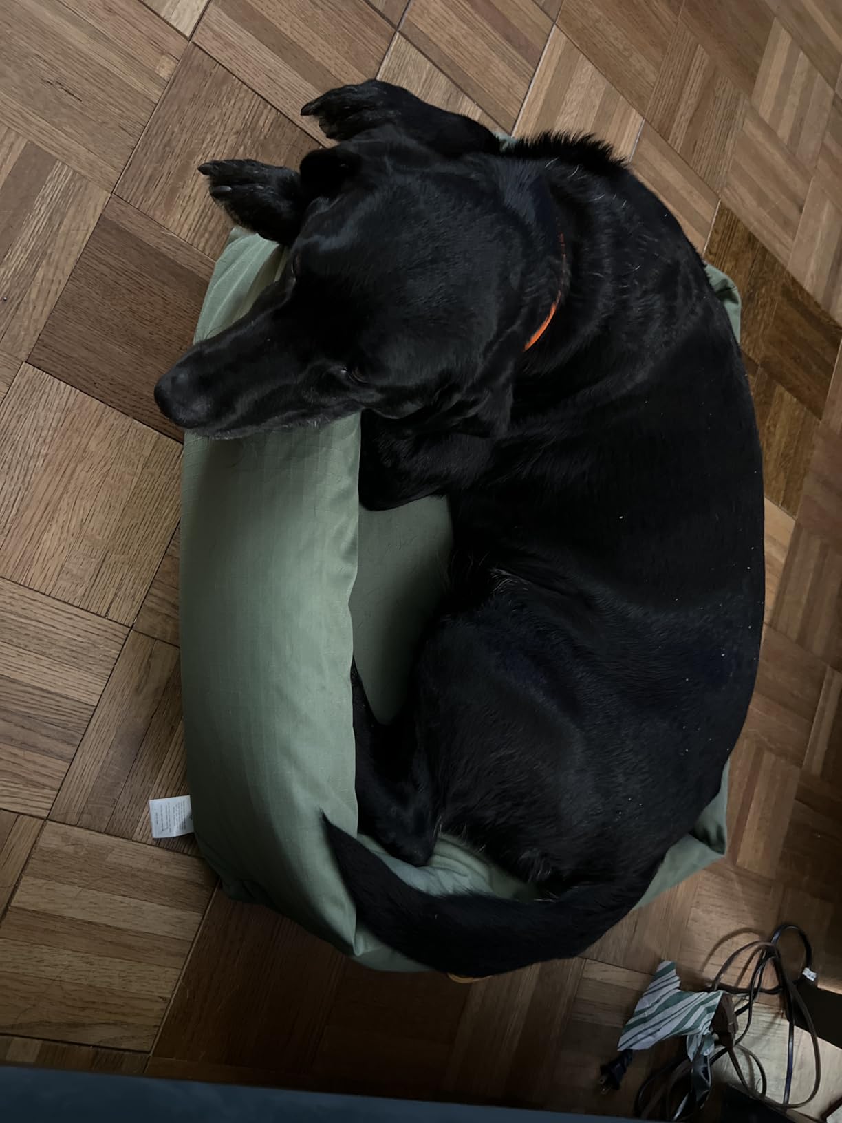 MADE TO ROAM Premium Lunar Bed - Durable Water-Resistant Washable Oxford Fabric with Shredded Memory Foam Dog Bed for Medium and Large Dogs (Oregon Haze, Medium) customer photo 1