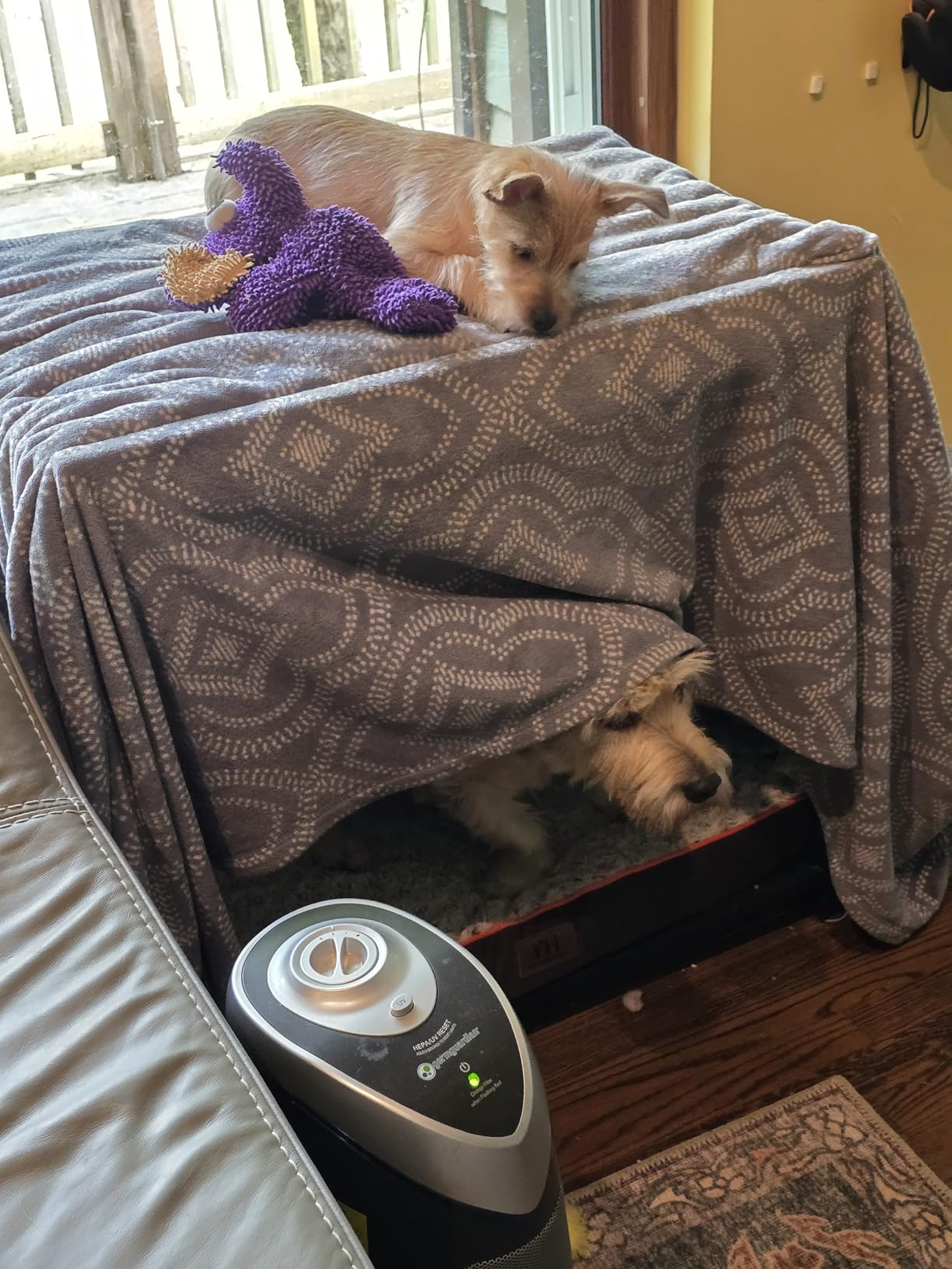 GDLF Bunk Beds Window Perch for Dogs Bedside Lounge Elevated Dog Bed Multi-Level Platform with Foam Upholstery, Non-Slip Pad and Storage customer photo 1