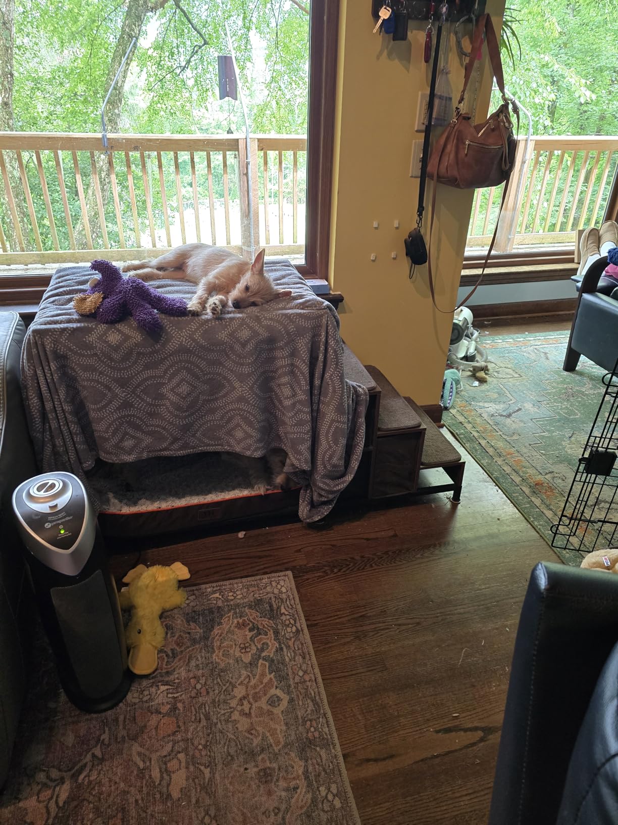 GDLF Bunk Beds Window Perch for Dogs Bedside Lounge Elevated Dog Bed Multi-Level Platform with Foam Upholstery, Non-Slip Pad and Storage customer photo 2
