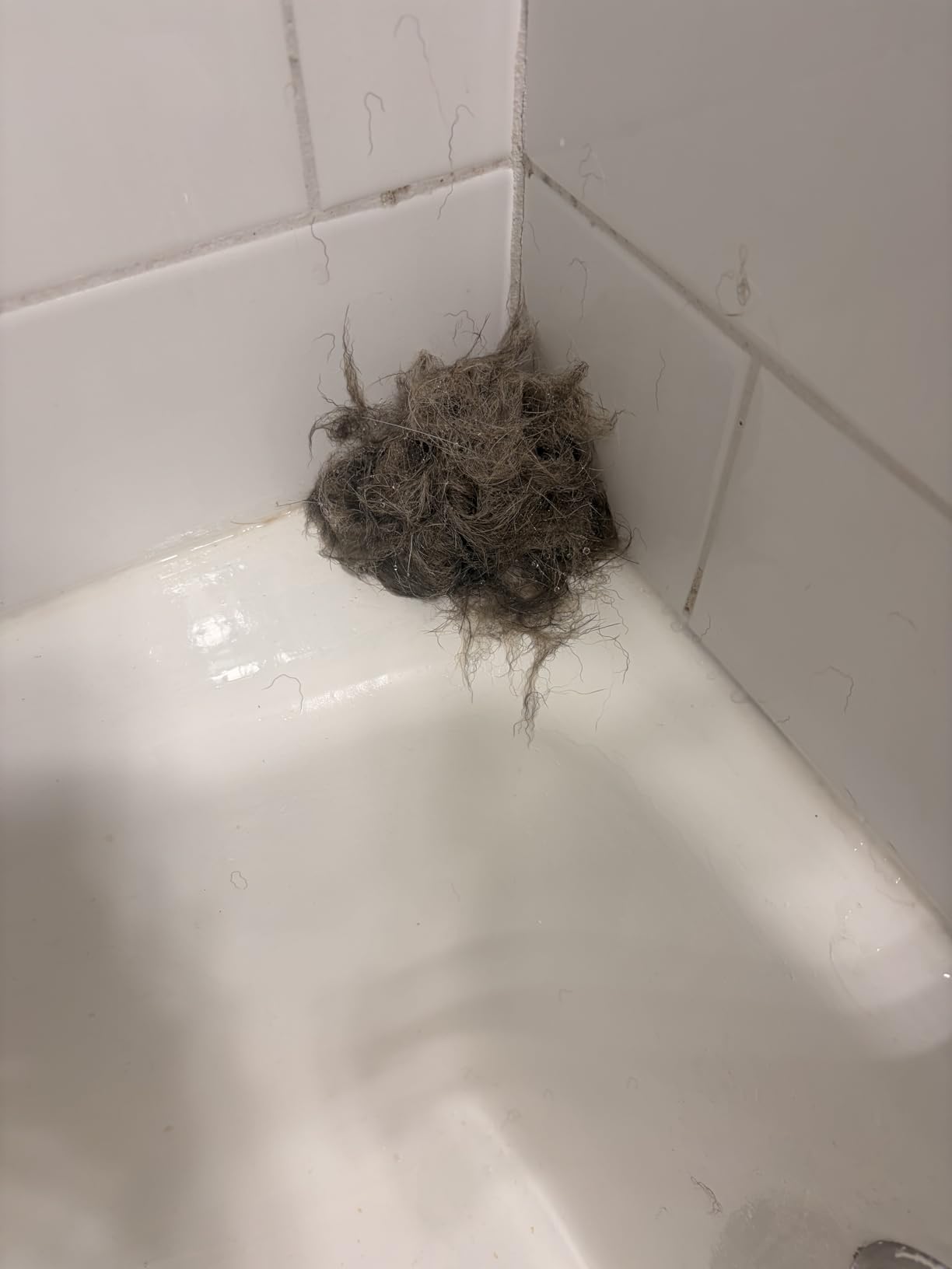 FURminator Ultra Premium deShedding Shampoo for Dogs Helps Reduce Excess Shedding, 16 oz customer photo 1