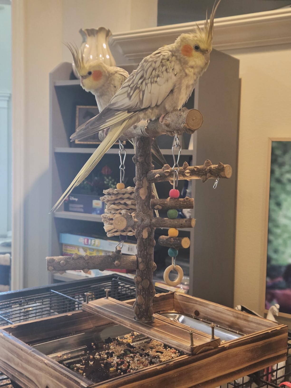 LIMIO Natural Wood Bird Toys Playground, Bird Cage Accessories, Bird Perches, with Removable Tray and 2 Stainless Steel Cups customer photo 1
