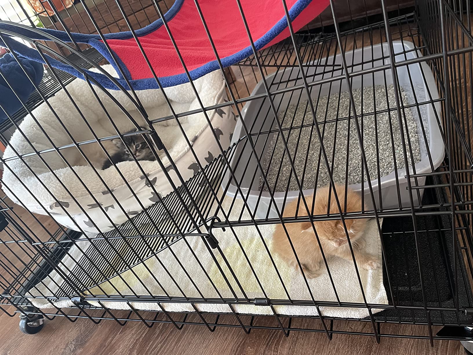 PawGiant 6-Tier Large Cat Cage Playpen, 72-inch Indoor/Outdoor Enclosure with 3 Doors, Hammock, Suitable for Cats, Kittens, and Small Animals customer photo 1