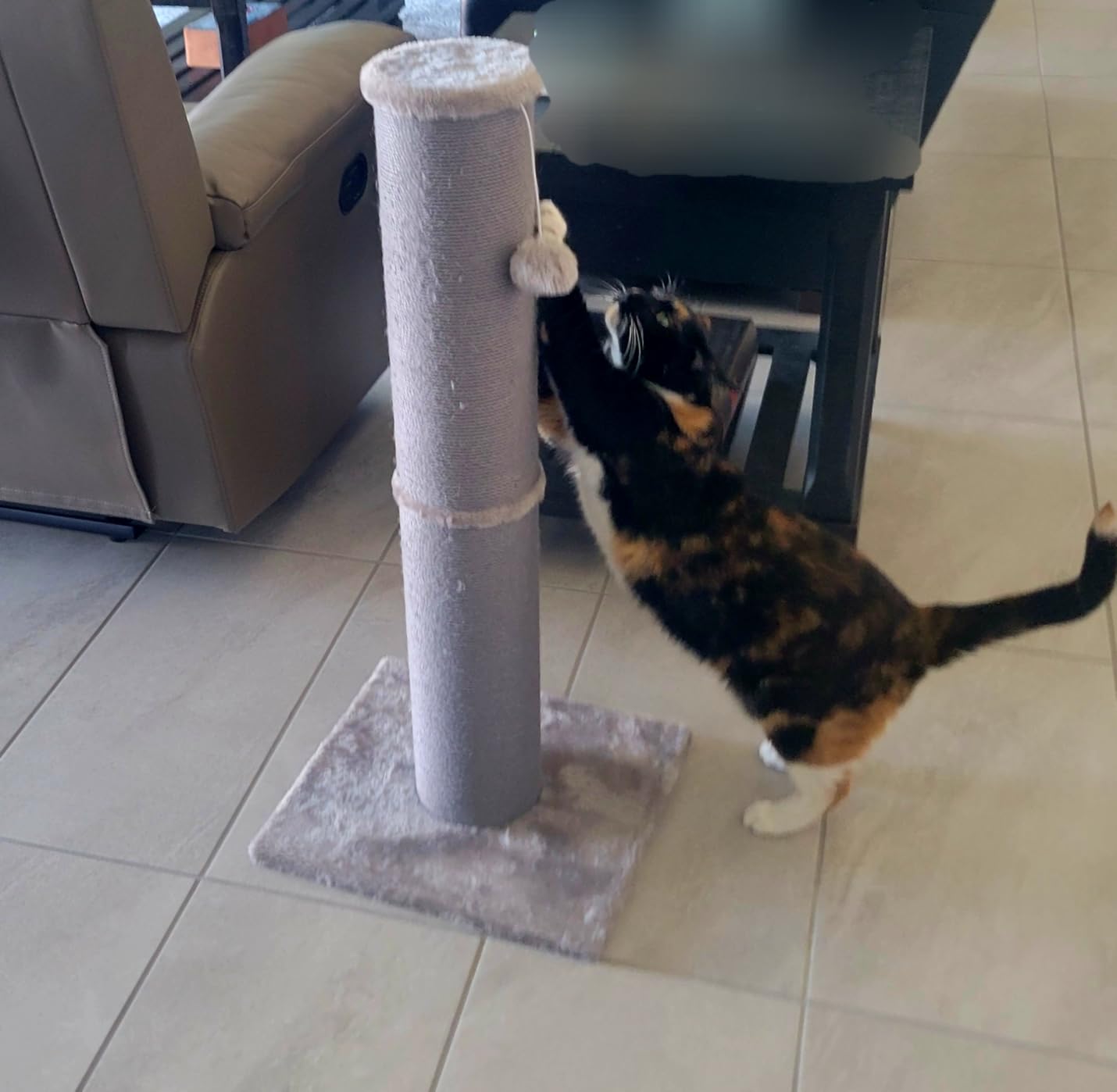 Cat Scratching Post for Large Cats, Cat Scratcher for Indoor Cats Adults, Sturdy Sisal Scratch Post to Protect Furniture, 32 Inch, Beige customer photo 1