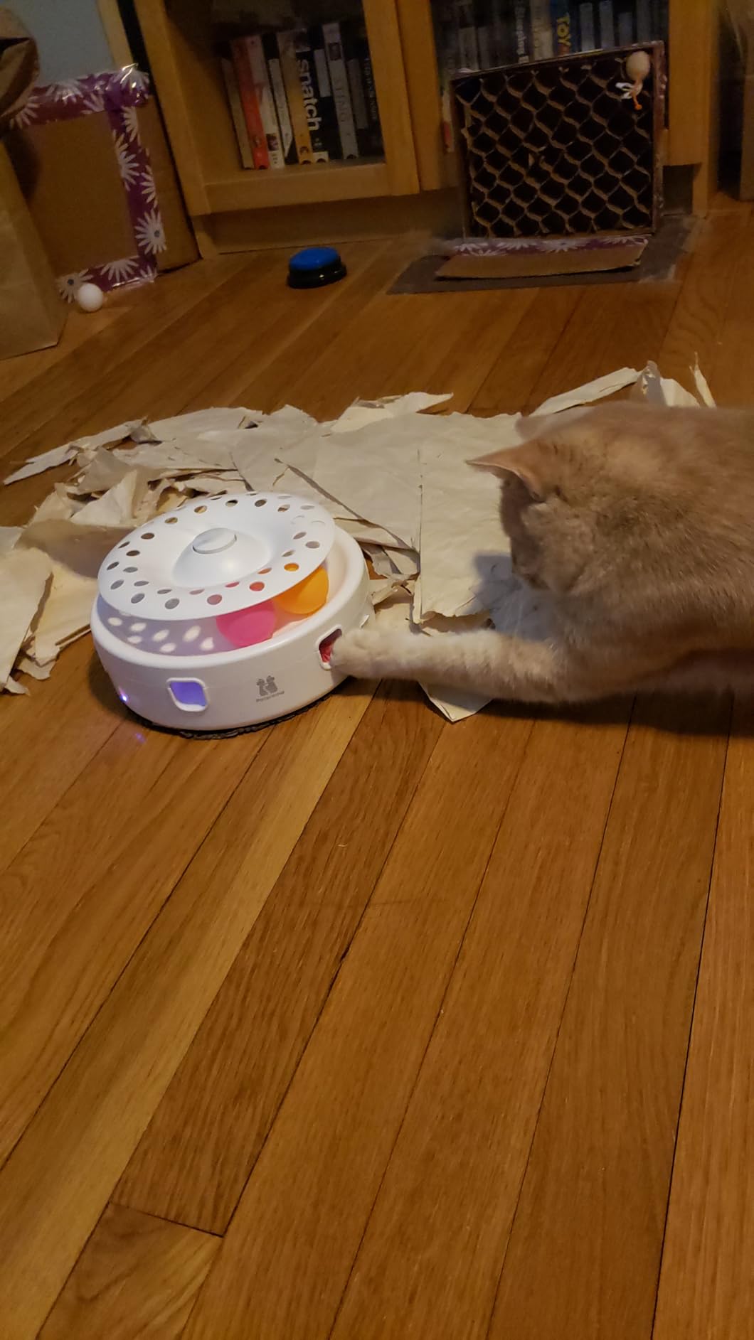 Potaroma Cat Toys 3in1 Automatic Interactive Kitten Toy, Fluttering Butterfly, Moving Feather, Track Balls, USB Powered, Indoor Exercise Kicker customer photo 2