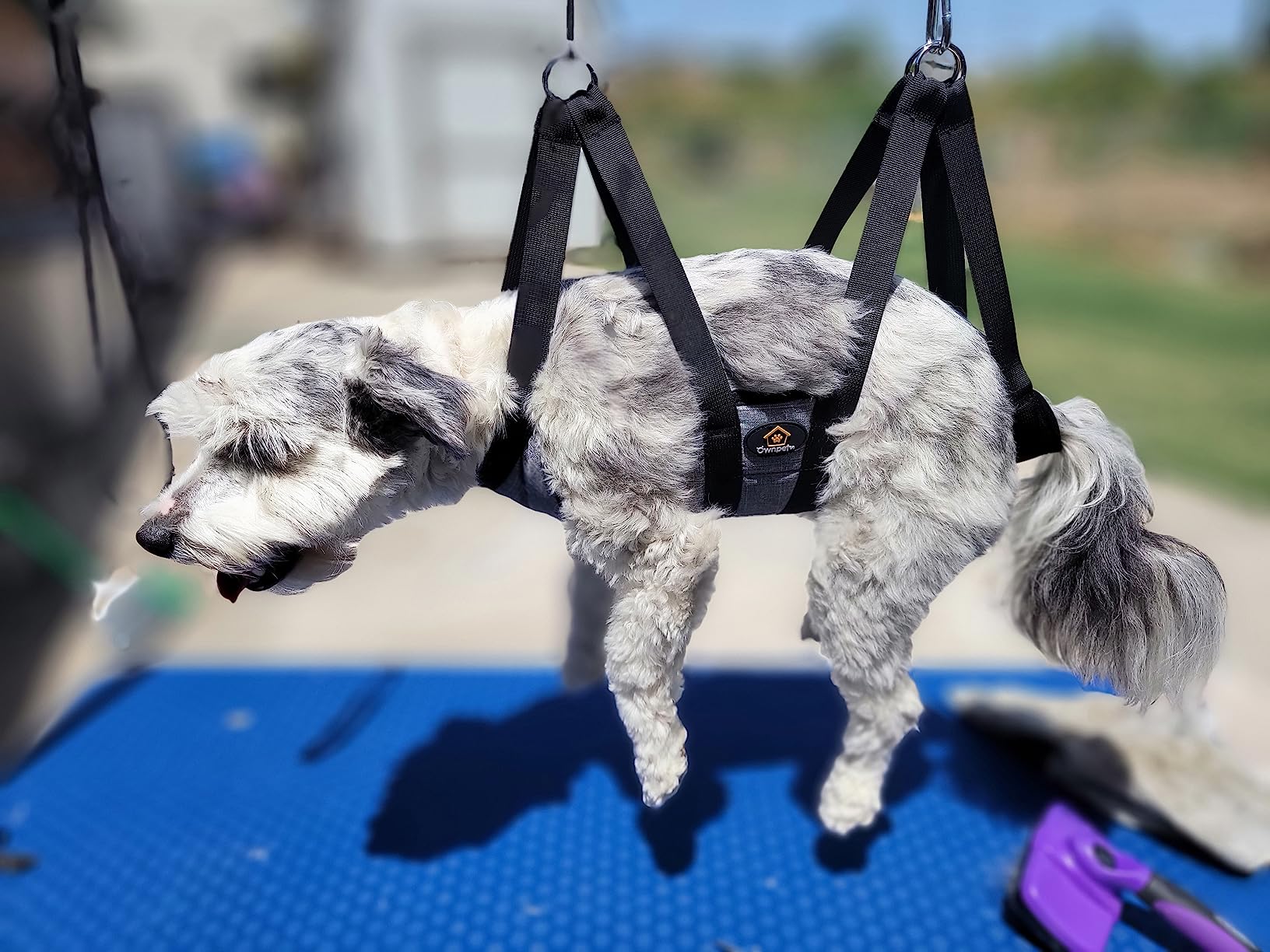 Ownpets Pet Grooming Hammock, Dog Grooming Hammock with Carabiners, Breathable Pet Grooming Harness Sling for Grooming, Hair Nail Trimming Cutting & More, S customer photo 2