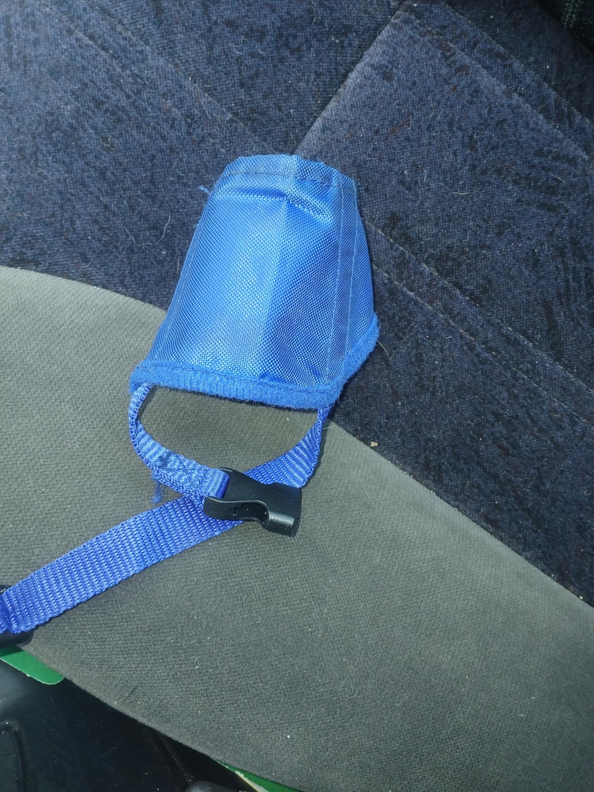 Parts Express Dog, Soft Anti-Biting Barking Chewing, Breathable Waterproof Adjustable for Small Medium Dogs, Blue (S) customer photo 2