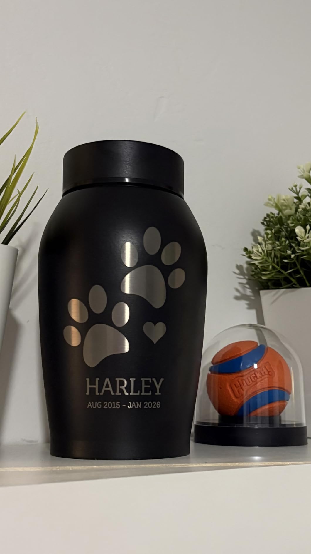 Personalized Custom Dog Urn Engraved Dog Name and Date - Stainless Steel cremation urns for dogs ashes with Airtight Closure | Paw Heart and Halo customer photo 2