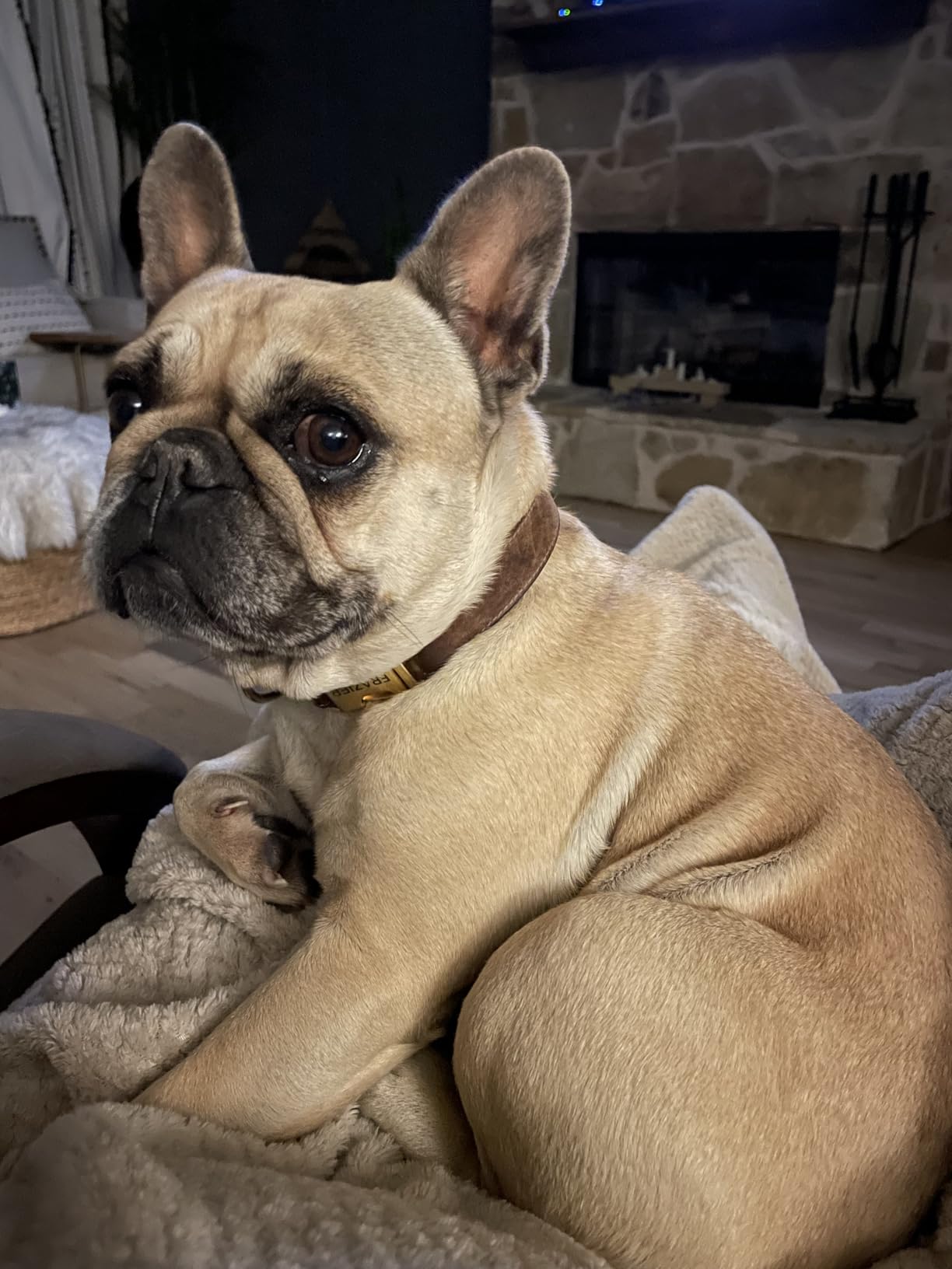 Glacier Peak Holistics Pet Intolerance Test Dogs & Cats 395 Items 7-10 Days customer photo 1
