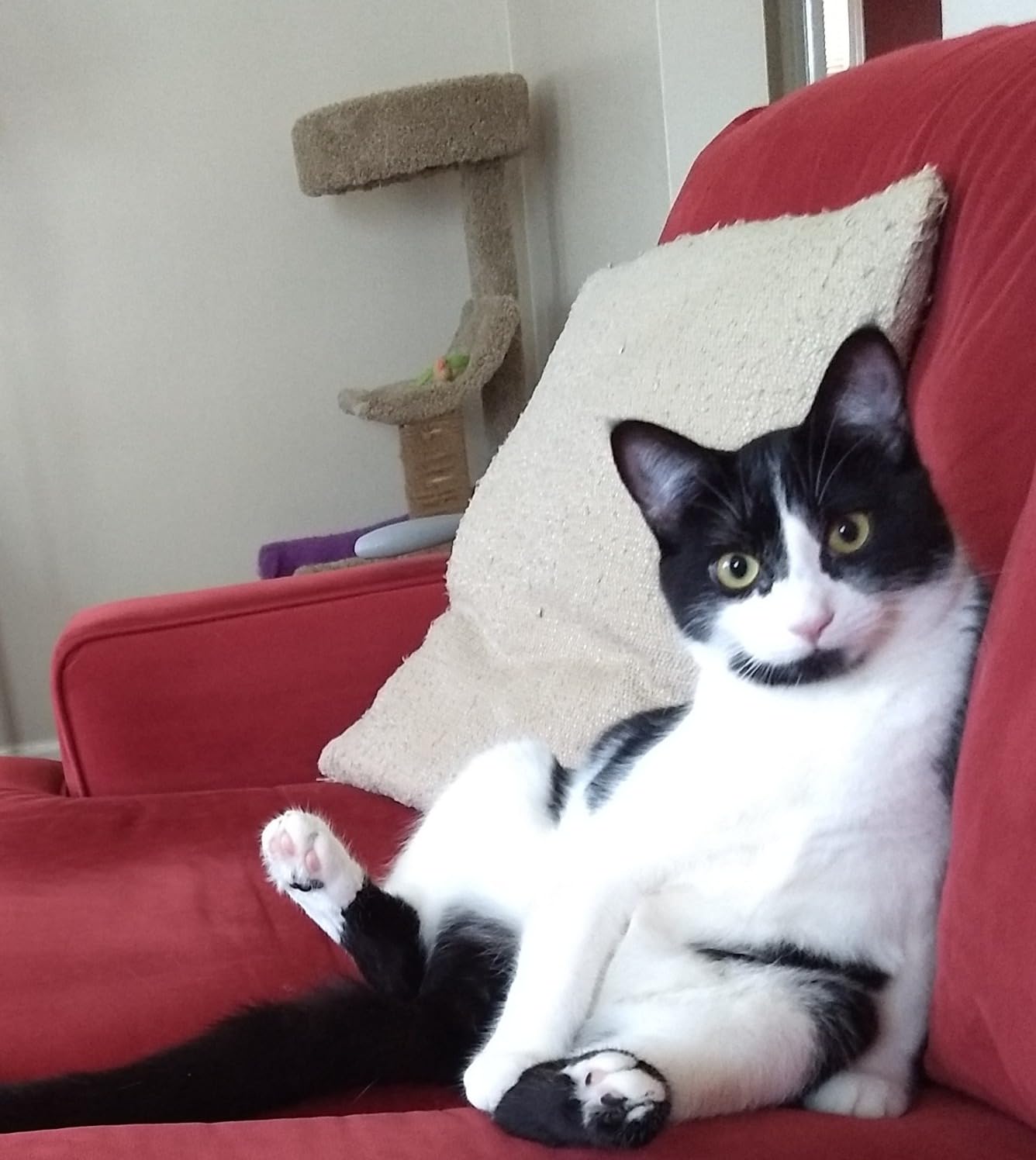 Glacier Peak Holistics Pet Intolerance Test Dogs & Cats 395 Items 7-10 Days customer photo 2