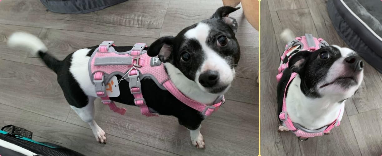 Huntboo Escape Proof Dog Harness, Escape Artist Harness, Fully Reflective Harness with Padded Handle, Breathable, Durable, Adjustable Vest for Medium Dogs Walking, Training, and Running Gear (Pink, M) customer photo 2