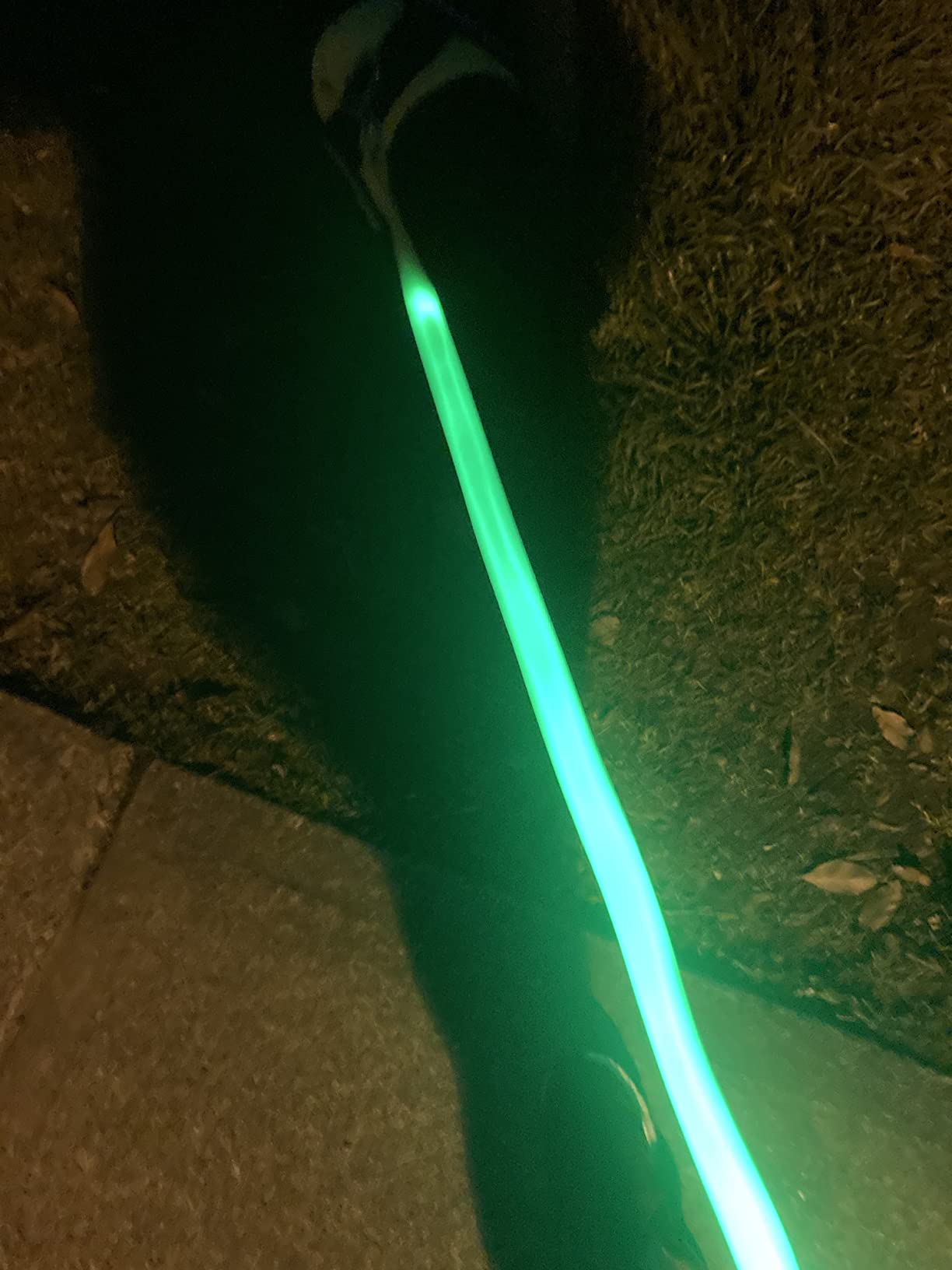 BSEEN Light Up Dog Leash, 4Ft LED Dog Leash Rechargeable Reflective Dog Lead Glowing Safety Dog Lights for Night Walking (Green II) customer photo 2