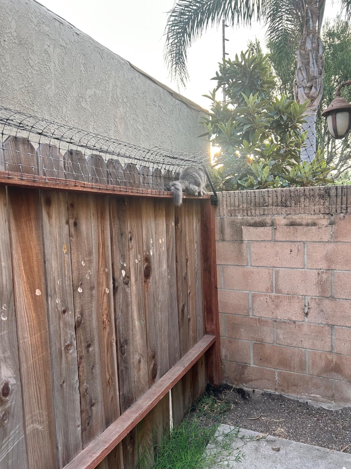 PURR...FECT Fence Conversion System for Cats - Cat-Proof Steel Toppers for Existing Outdoor Fencing, Containment Barrier For Wood, Chain Link, Metal, Brick, & Vinyl Fences 5' Tall or Higher, 50 Foot Kit customer photo 2