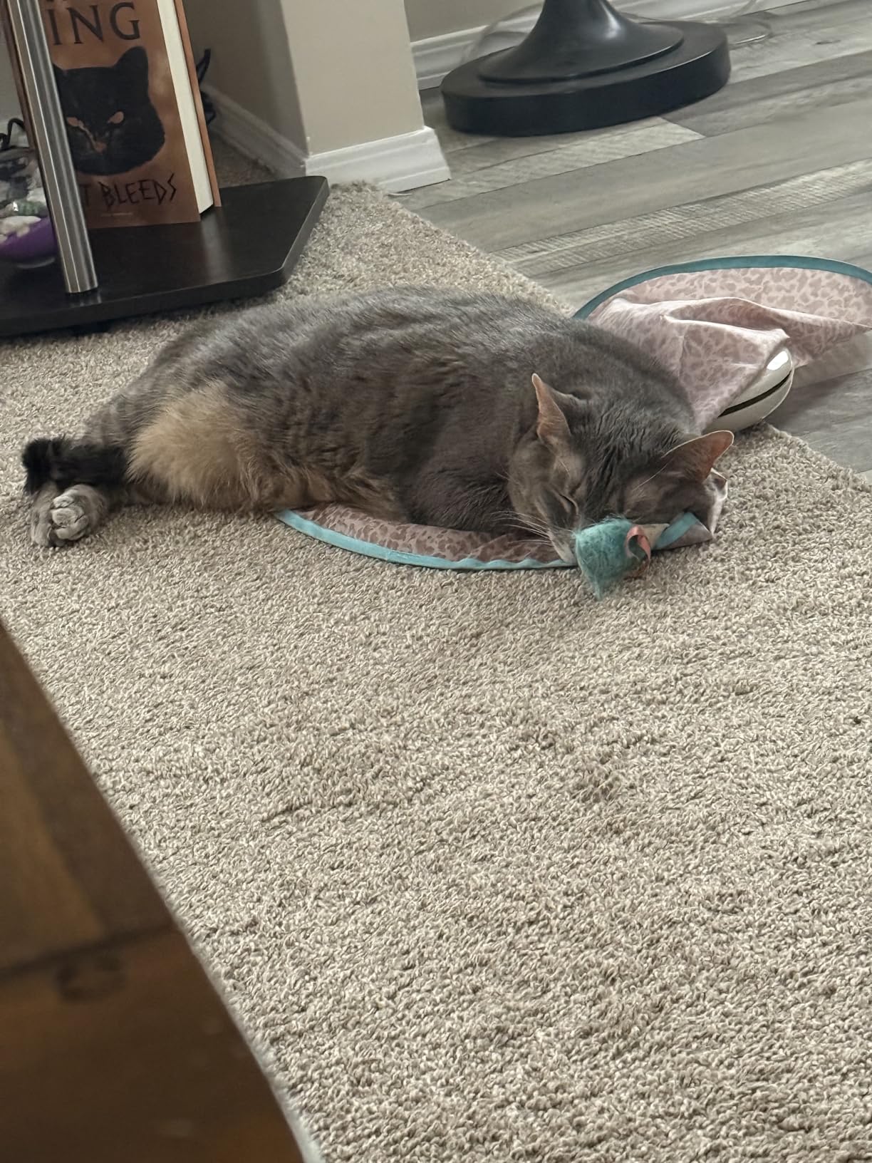 SmartyKat Hidden Hijinks Toy for Indoor Cats & Kittens, Electronic Interactive Motion Toy, Featuring Teaser Wand, Plus Replaceable Batteries Included customer photo 1