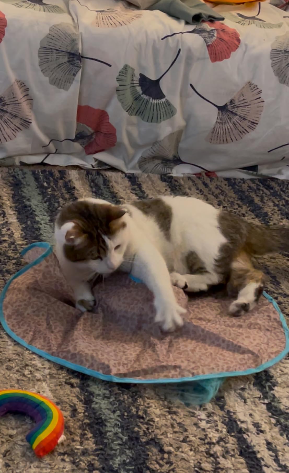 SmartyKat Hidden Hijinks Toy for Indoor Cats & Kittens, Electronic Interactive Motion Toy, Featuring Teaser Wand, Plus Replaceable Batteries Included customer photo 2