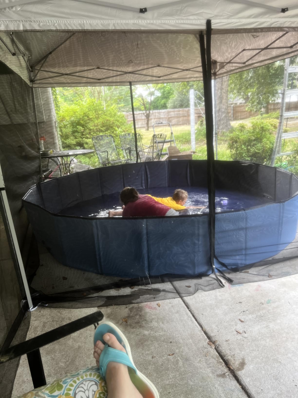 Meowant Foldable Dog Pool, Hard Plastic Dog Swimming Pools for Large Dogs, Collapsible Plastic Kid Pet, Portable Bathing Tub Kiddie Pool for Dogs (XL-63'' x 12'') customer photo 1